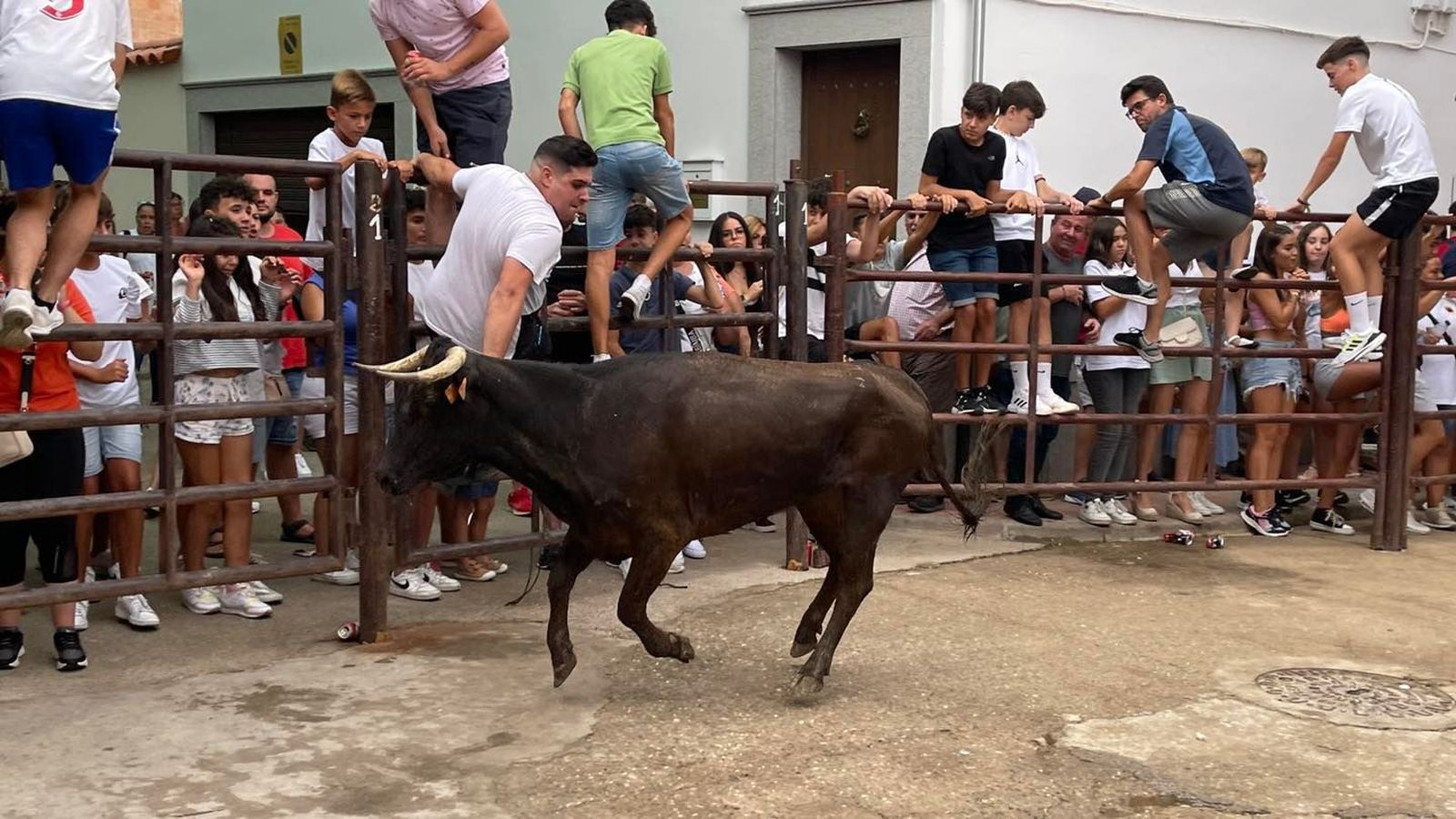 El encierro taurino de Dos Torres por San Roque, en imágenes