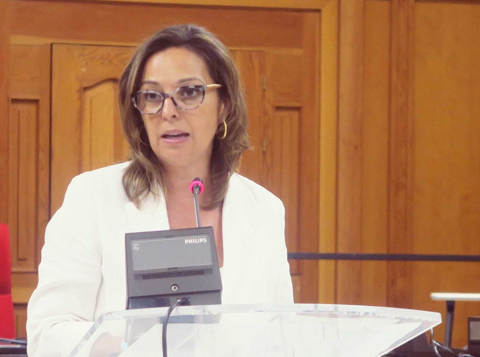 La portavoz del grupo municipal socialista, Isabel Ambrosio.