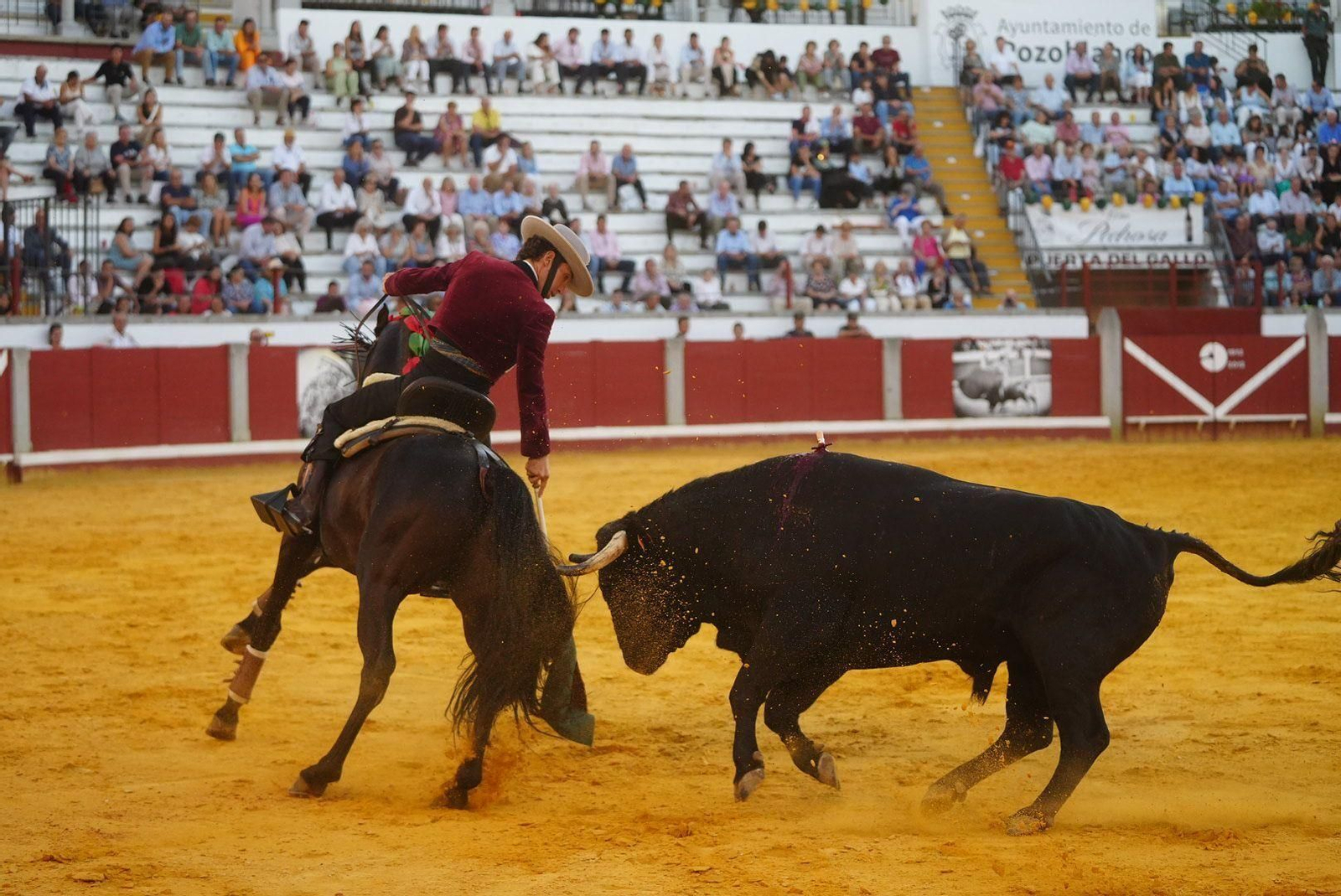 Las mejores fotos de la faena triunfal de Andy Cartagena, Leonardo y Lea Vicens en Pozoblanco Las mejores fotos de la faena triunfal de Andy Cartagena, Leonardo y Lea Vicens en Pozoblanco