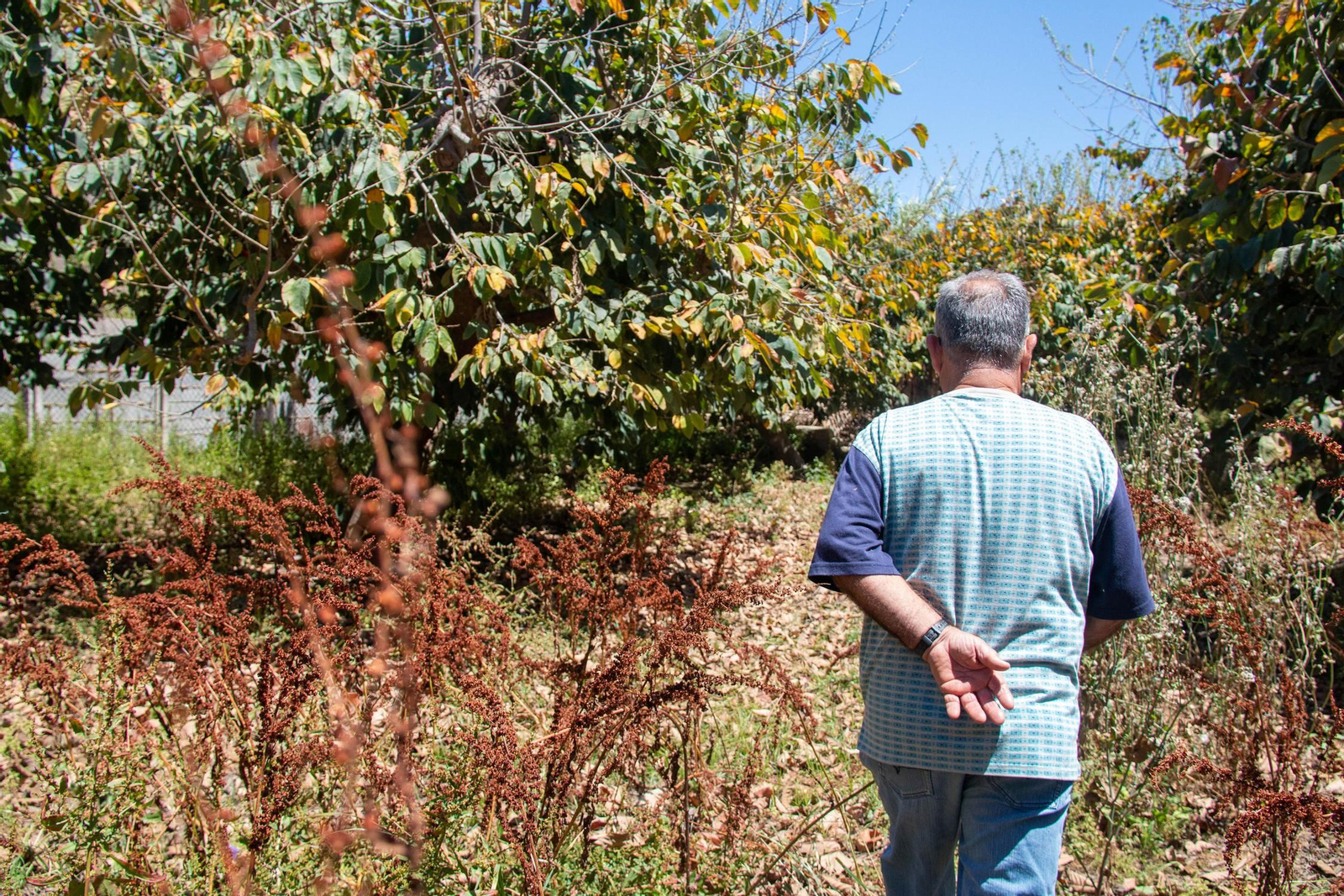 Un agricultor sexitano