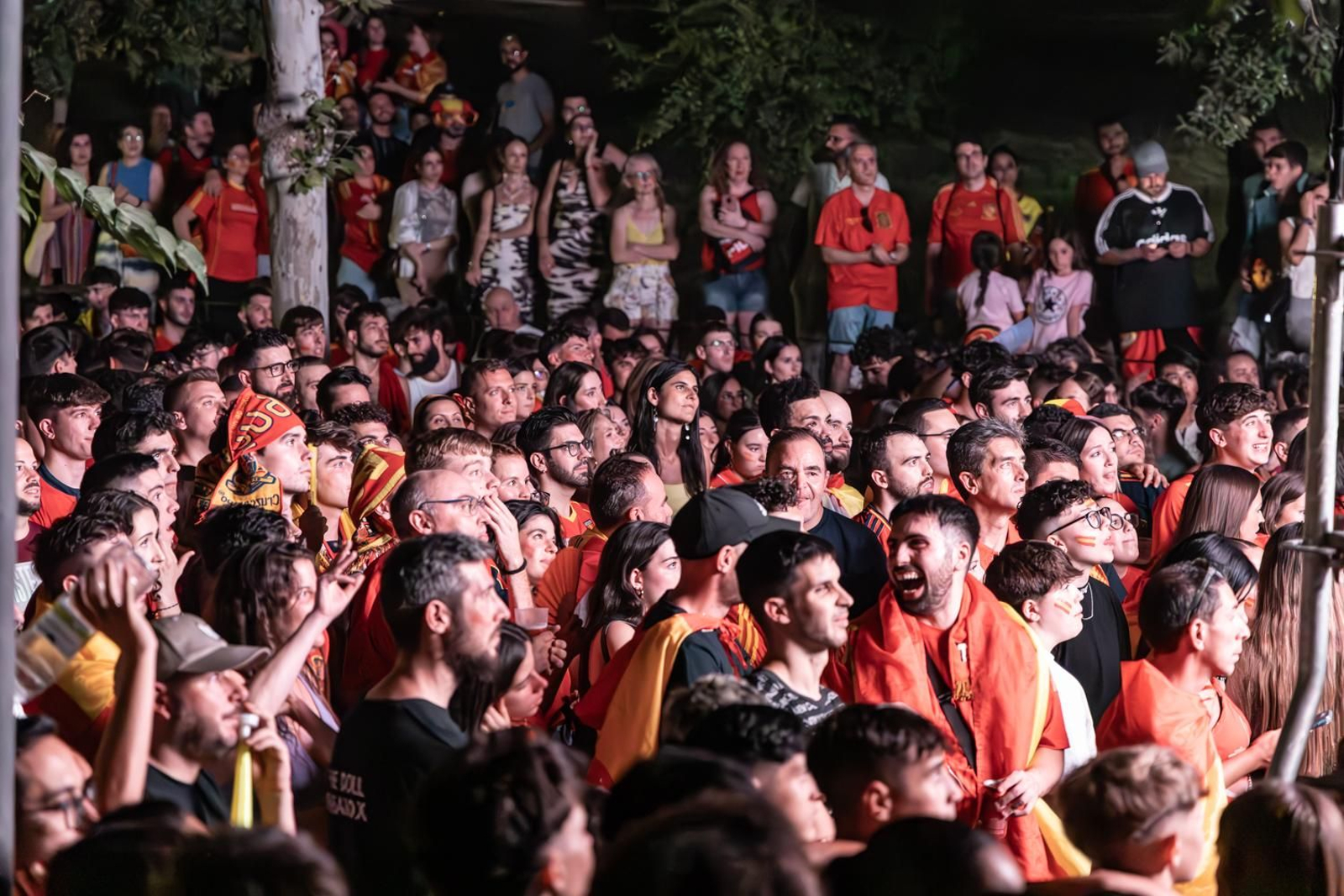 La euforia jiennense por la victoria de España, imágenes