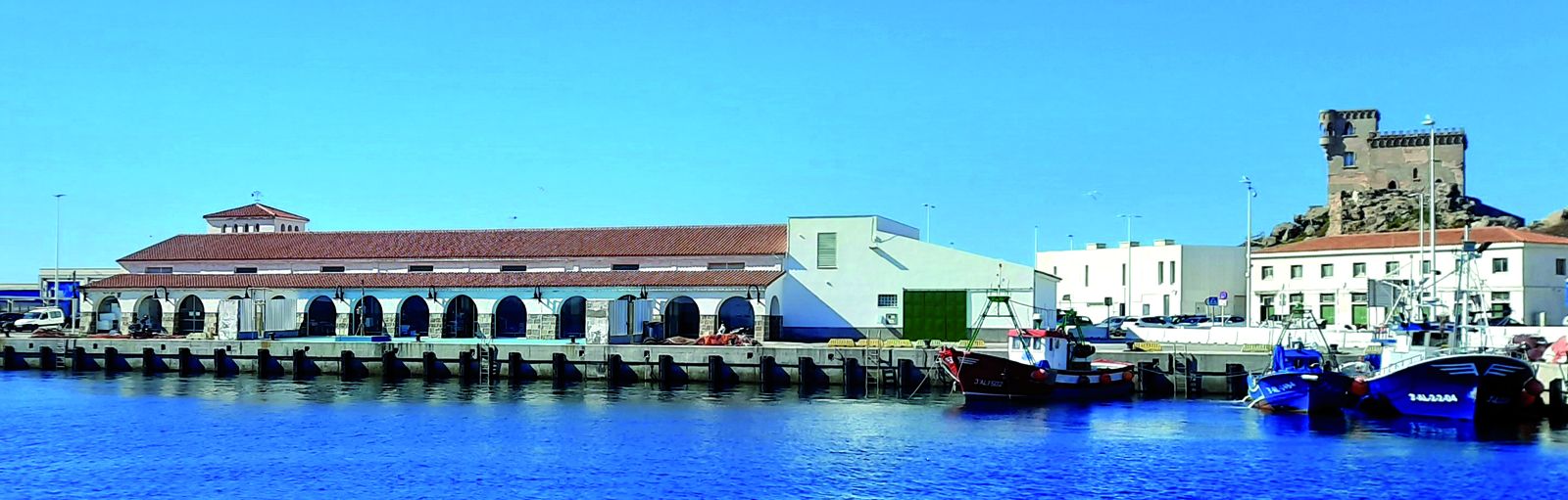 La Lonja de Tarifa comercializa el 70% del atún rojo fresco en Andalucía