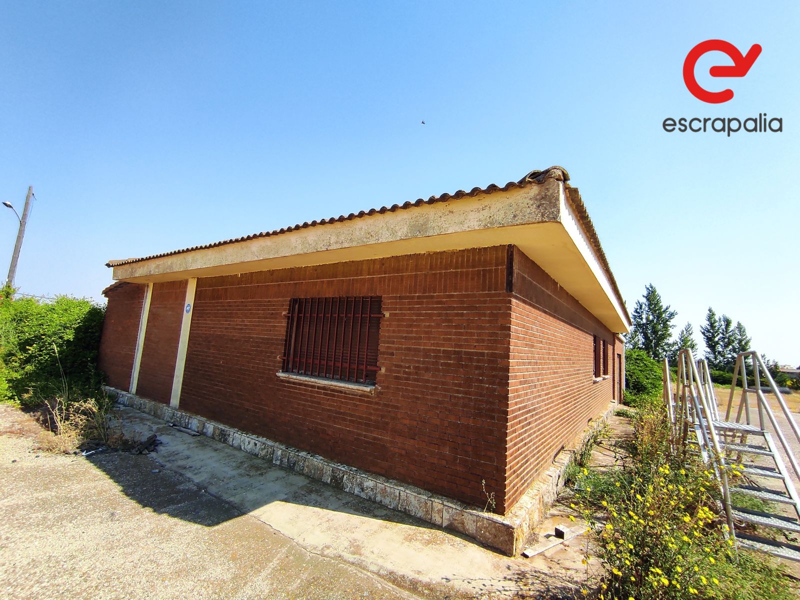 La granja de 43.000 metros cuadrados a subasta por 1 euro