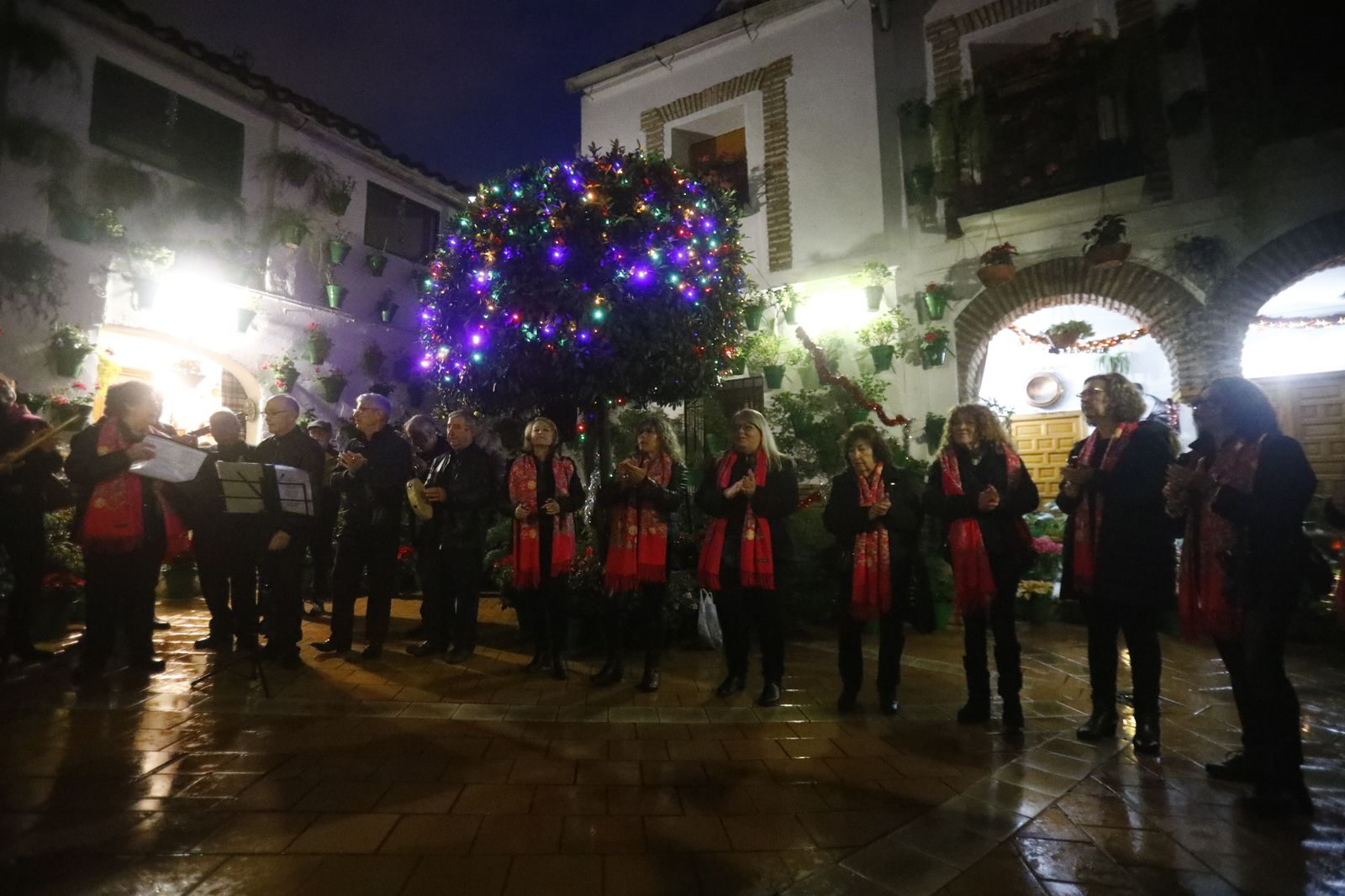 Los Patios de Córdoba abren por Navidad, en imágenes