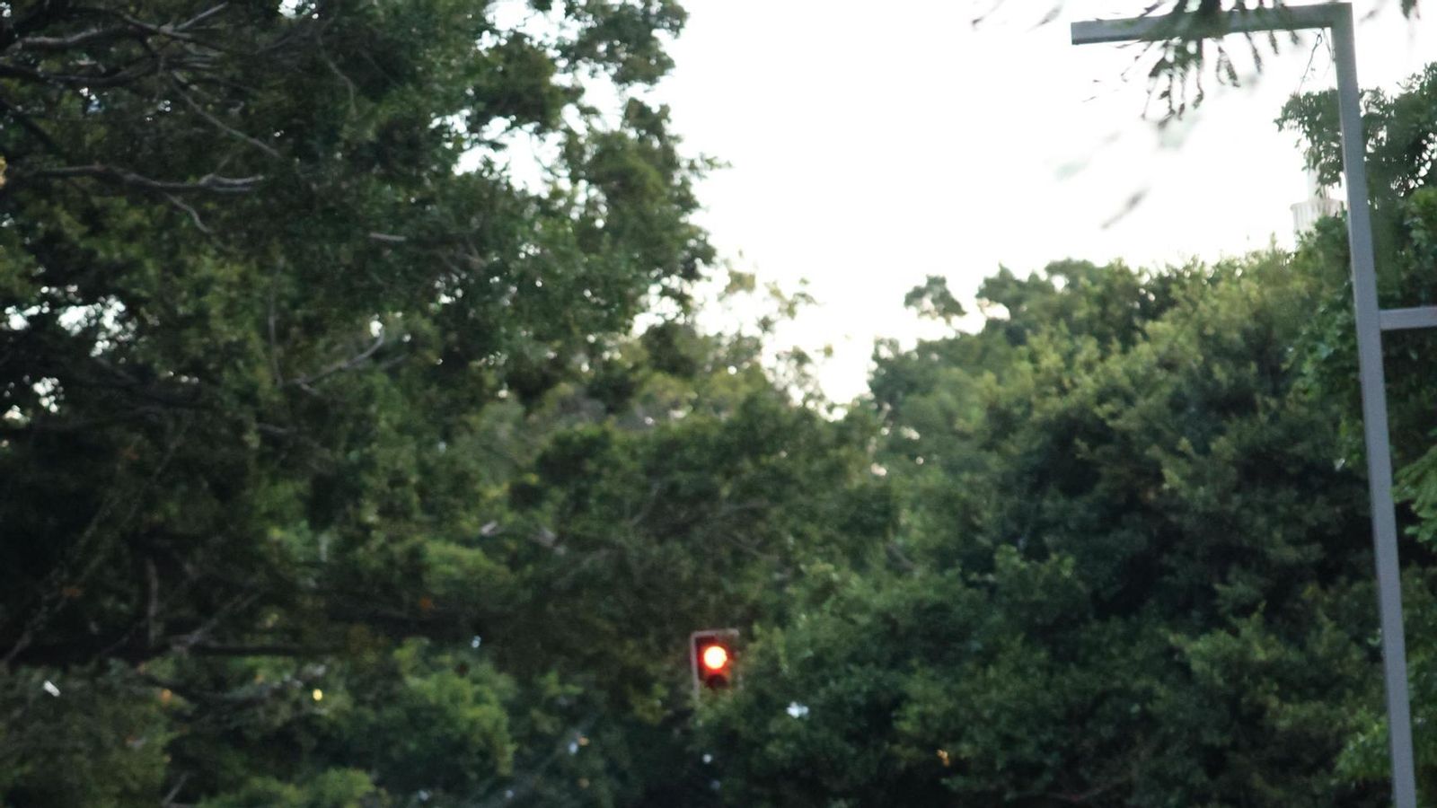 Las mejores fotos de la Maratón de Málaga 2024