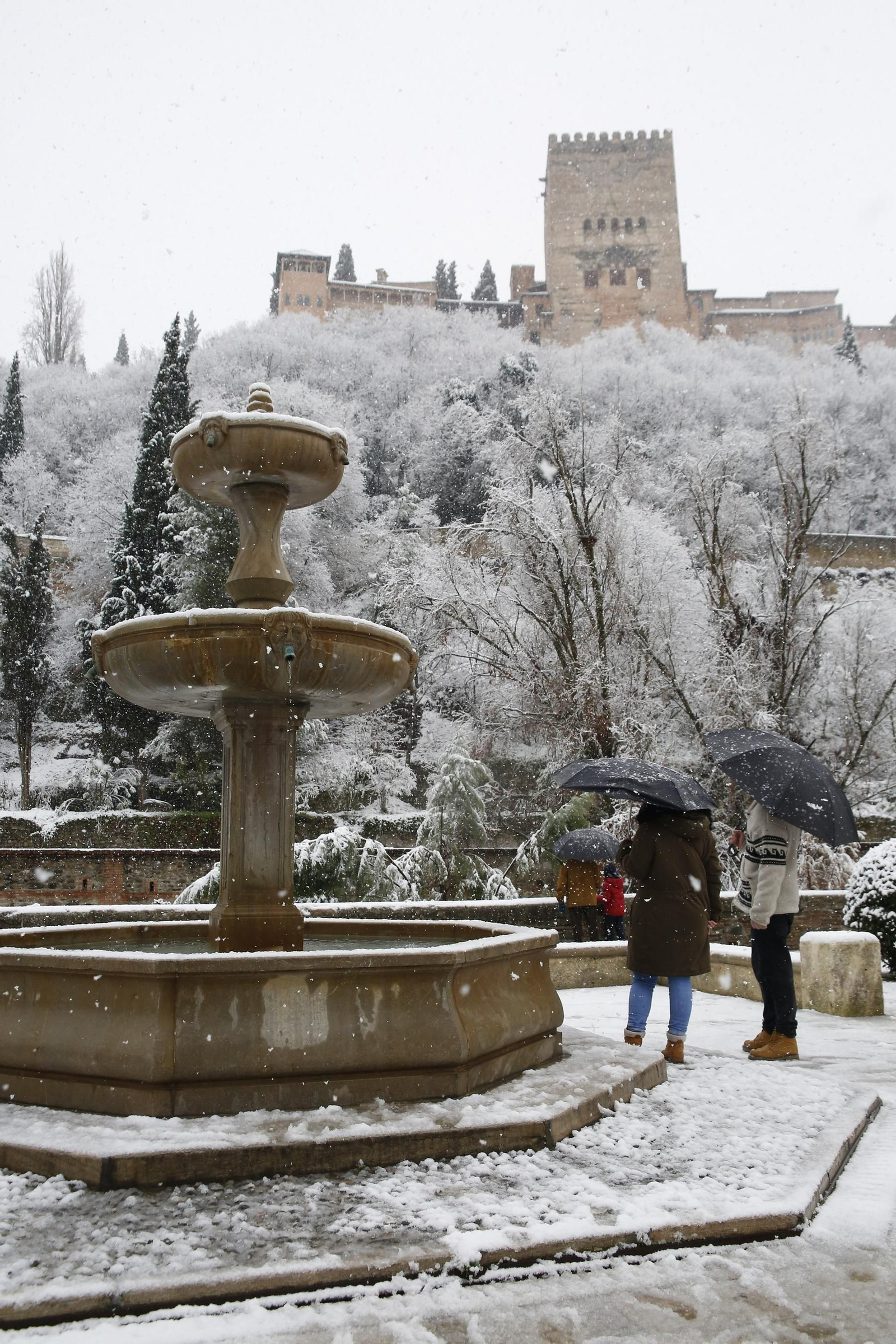 La nevada de Granada, en imágenes