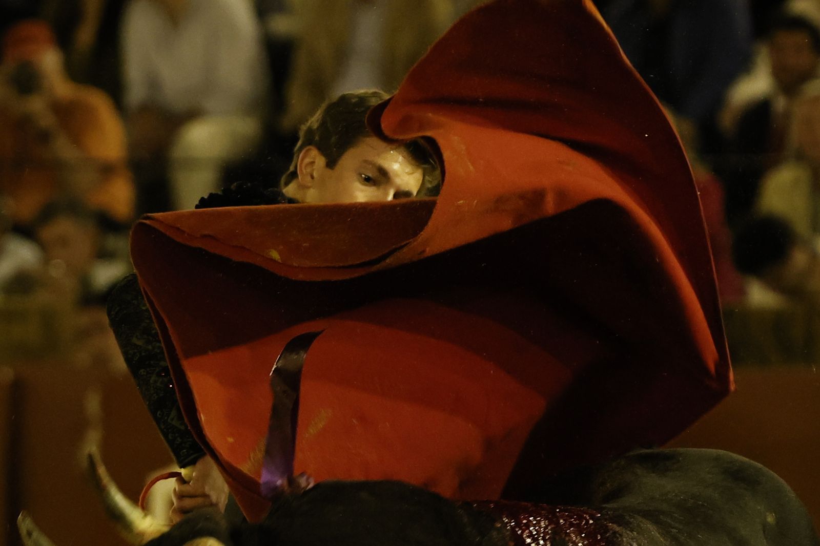 Las imágenes de la Novillada