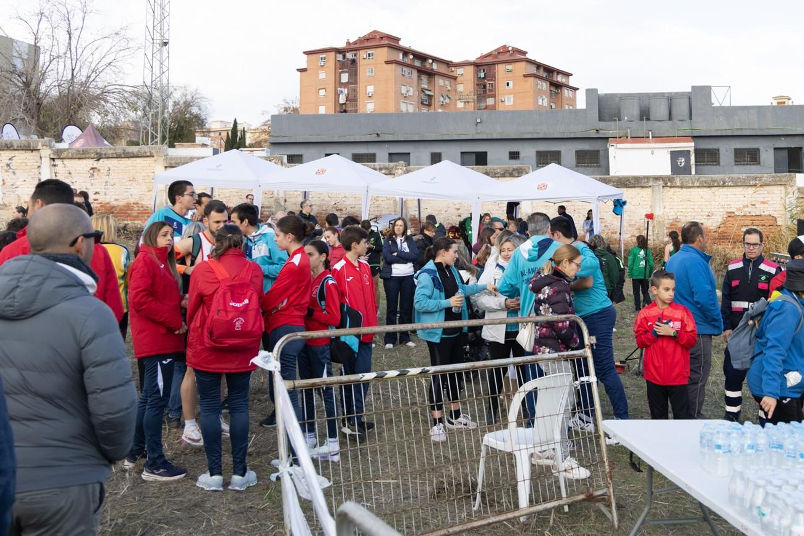 Las mejores imágenes del XXVIII Cross Provincial “Ciudad de Jaén” con victoria de Cynthia Ramírez y Andrés Estepa (1)