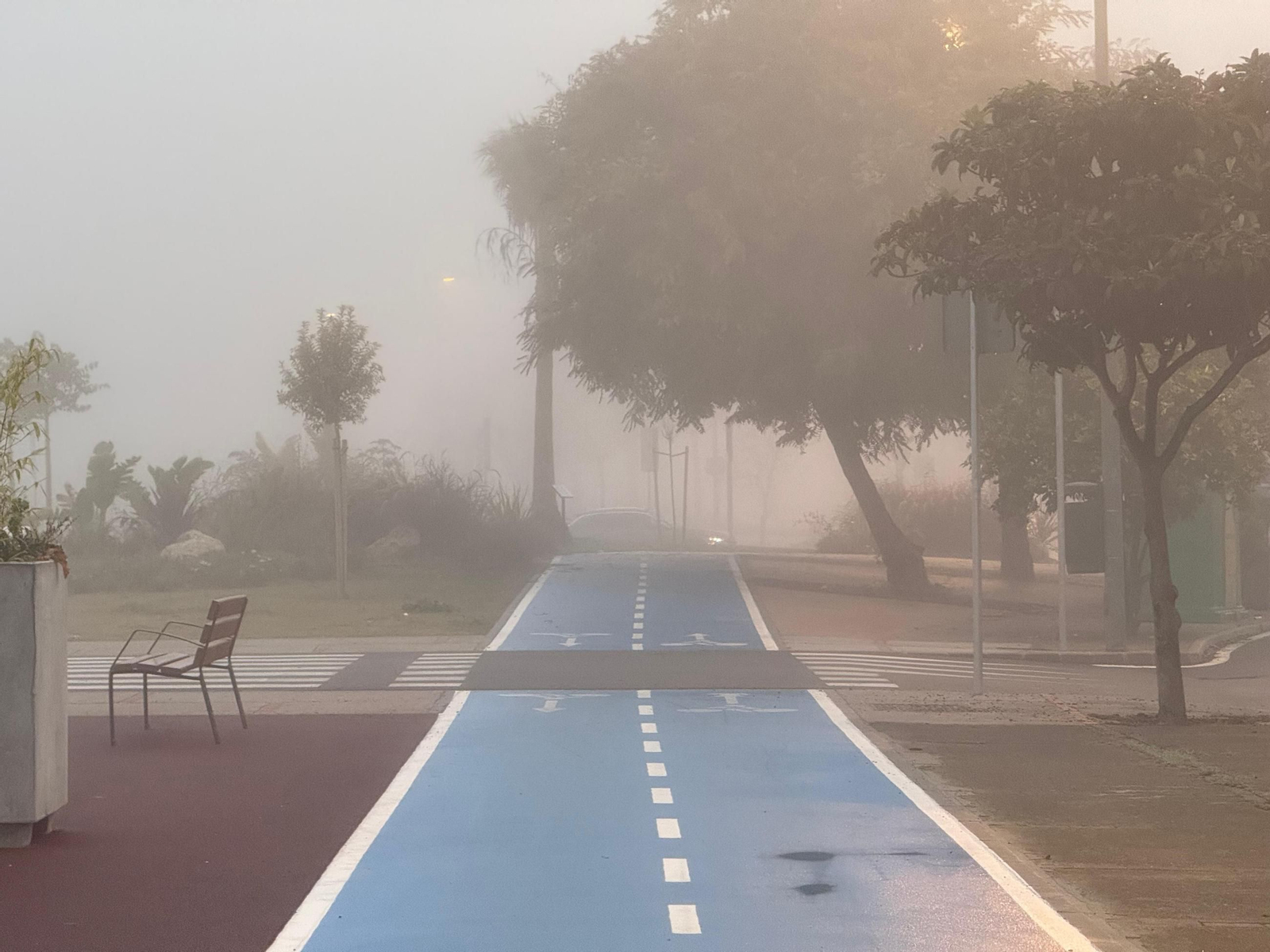 niebla08.jpg