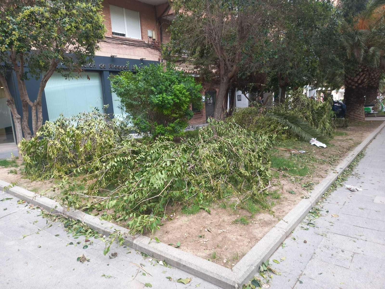 La borrasca Bernard en Jaén: barrio a barrio