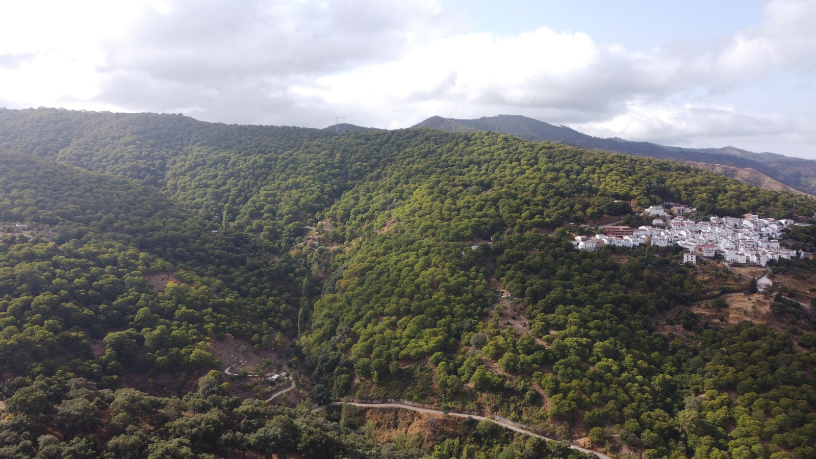 Bosques de castaños alrededor de Pujerra.