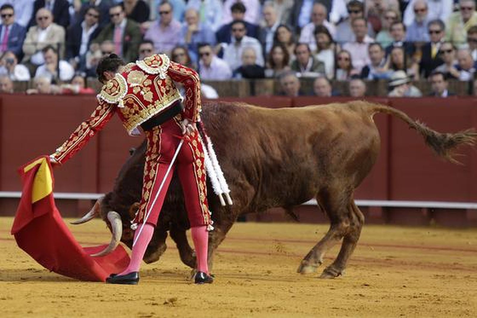 Apuntes al natural de Finito