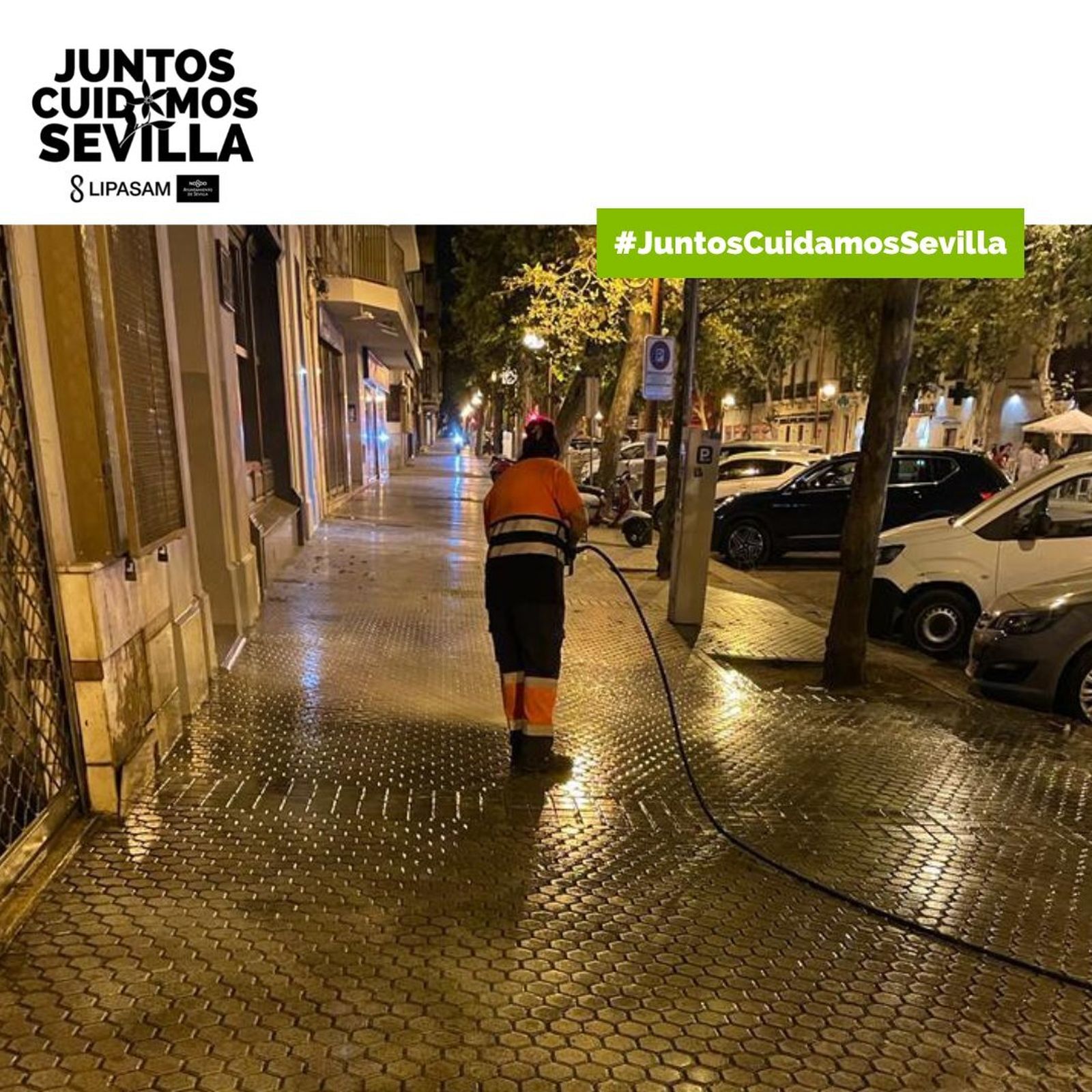 Una de las imágenes publicadas por Lipasam en su perfil de Twitter.