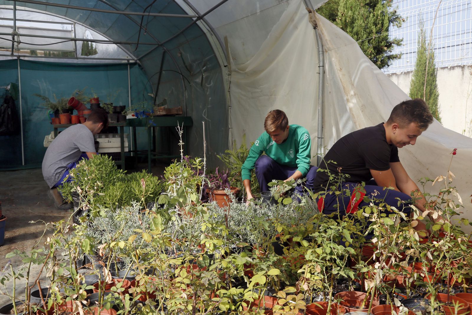 Alumnos de un módulo de Jardinería realizan prácticas en un vivero.
