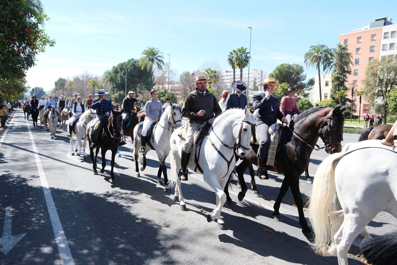 La XV marcha hípica por el Día de Andalucía en Córdoba, en imágenes