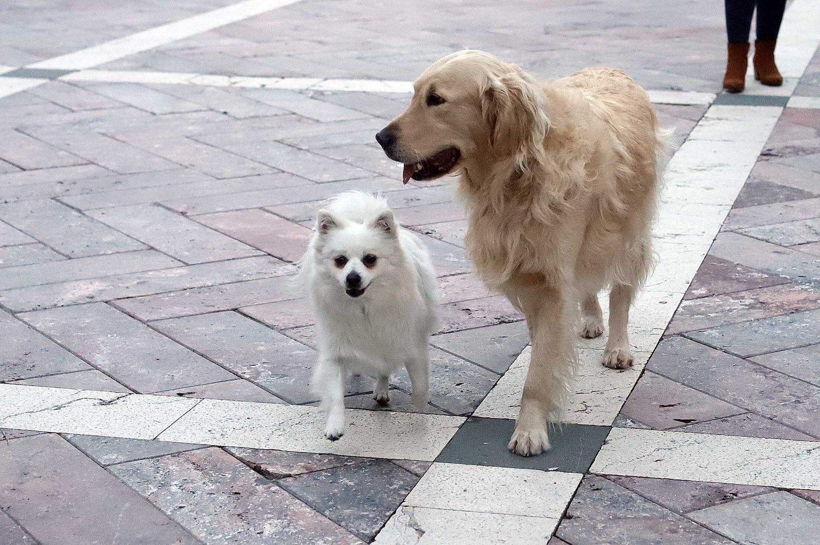 Imágenes del domingo 11 de diciembre en Huelva