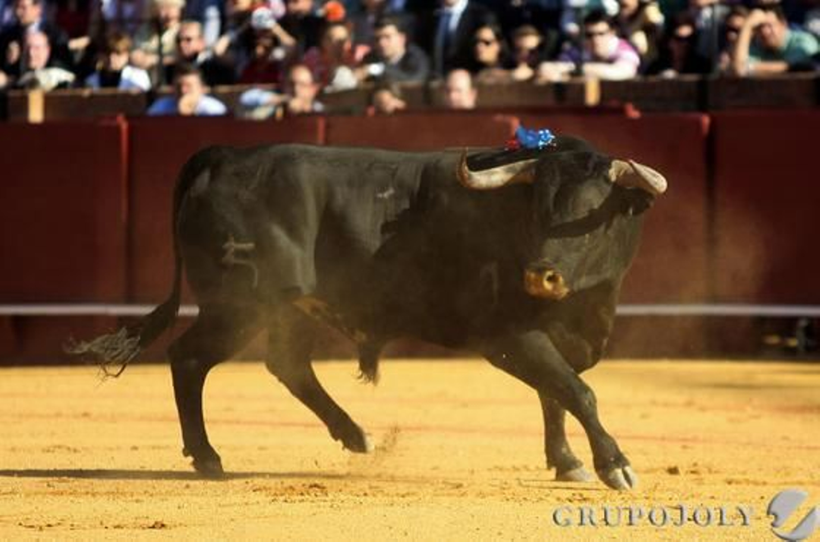 Primer toro de la tarde.  Foto: Juan Carlos Munoz