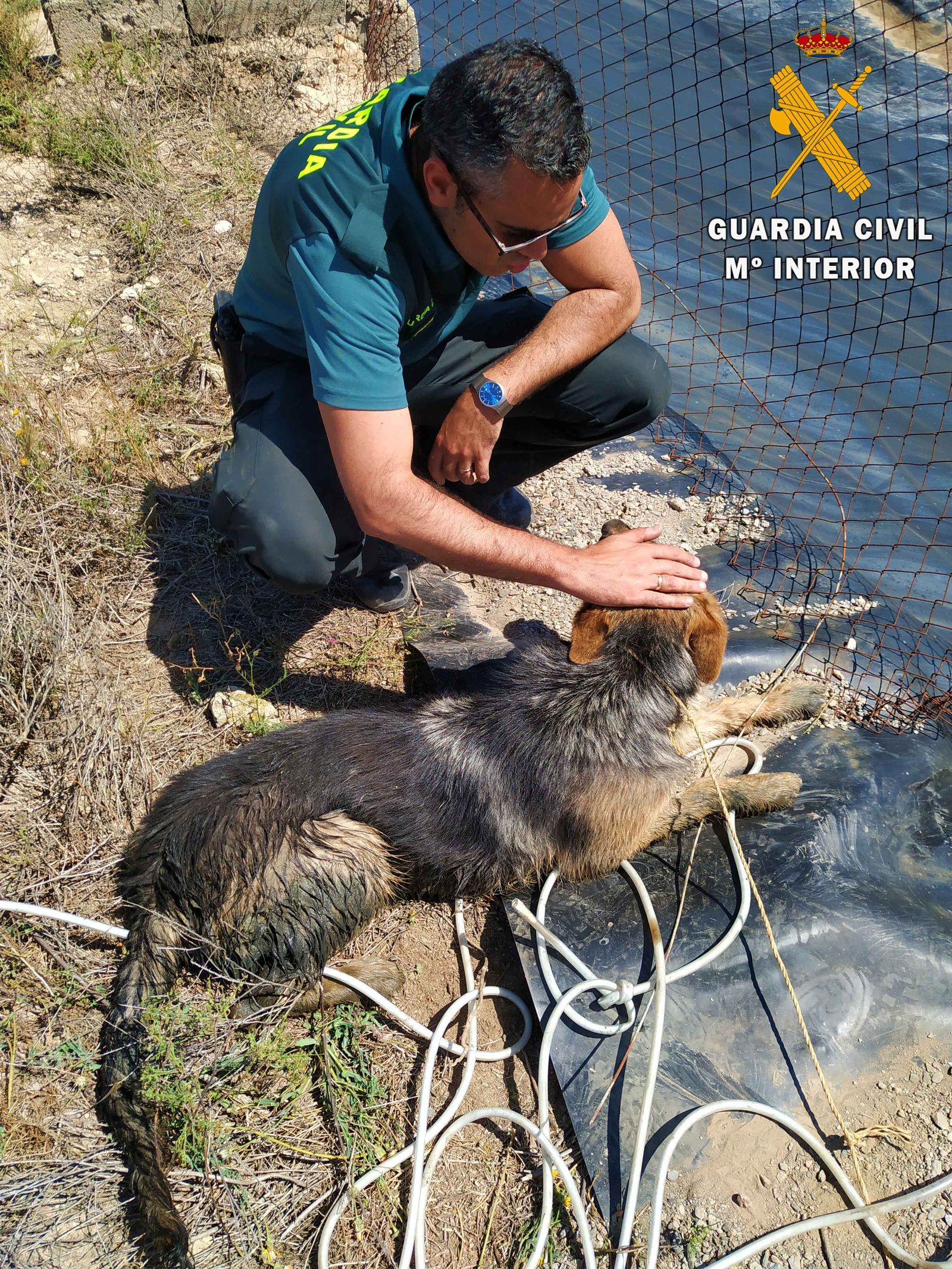 Uno de los guardias civiles que participó en el rescate junto al animal que logró salvarse