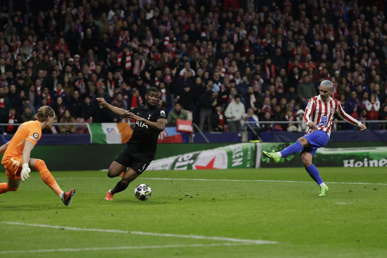 Las fotos del Atlético de Madrid-Tottenham