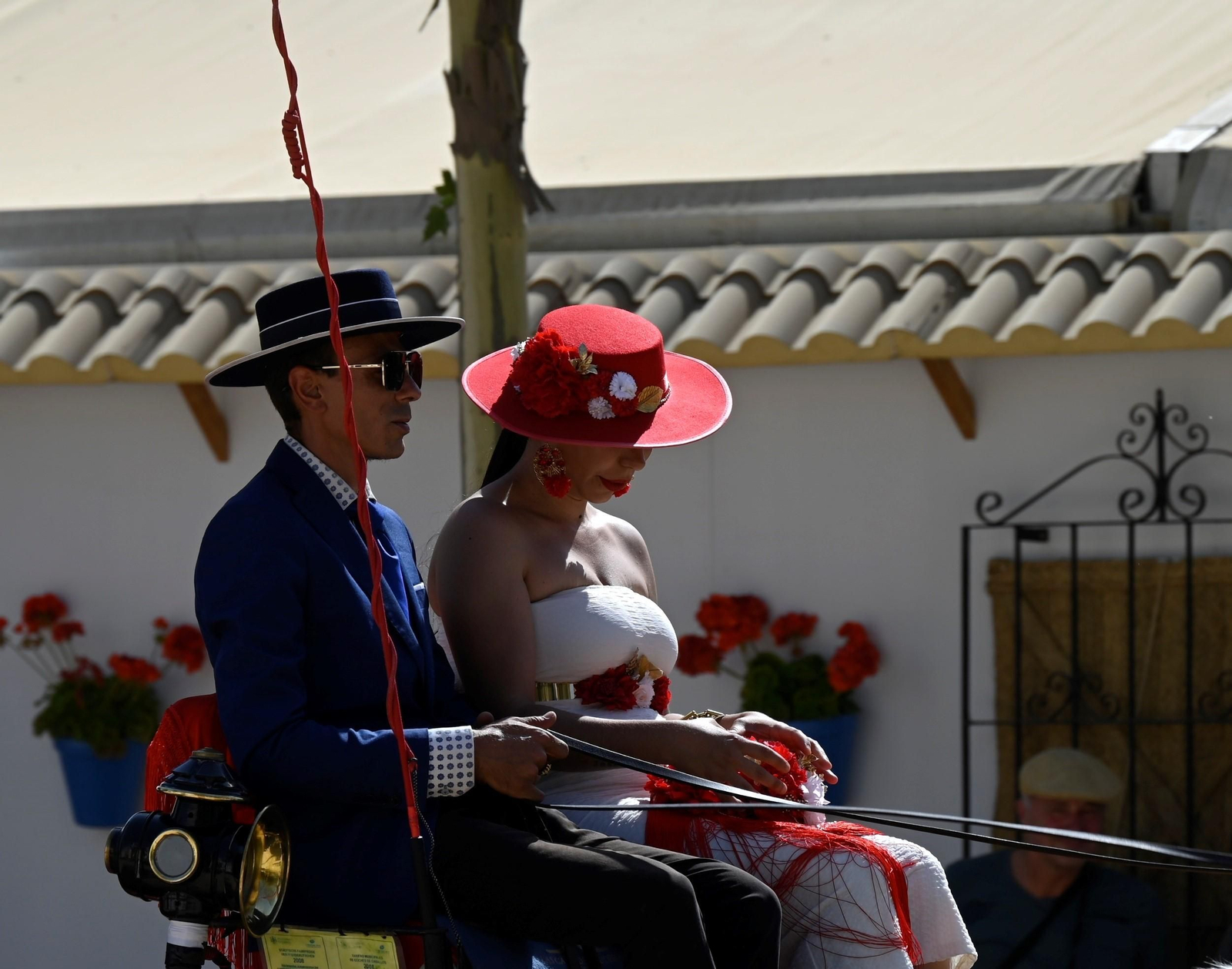 El Día del Caballo en la Feria de Córdoba