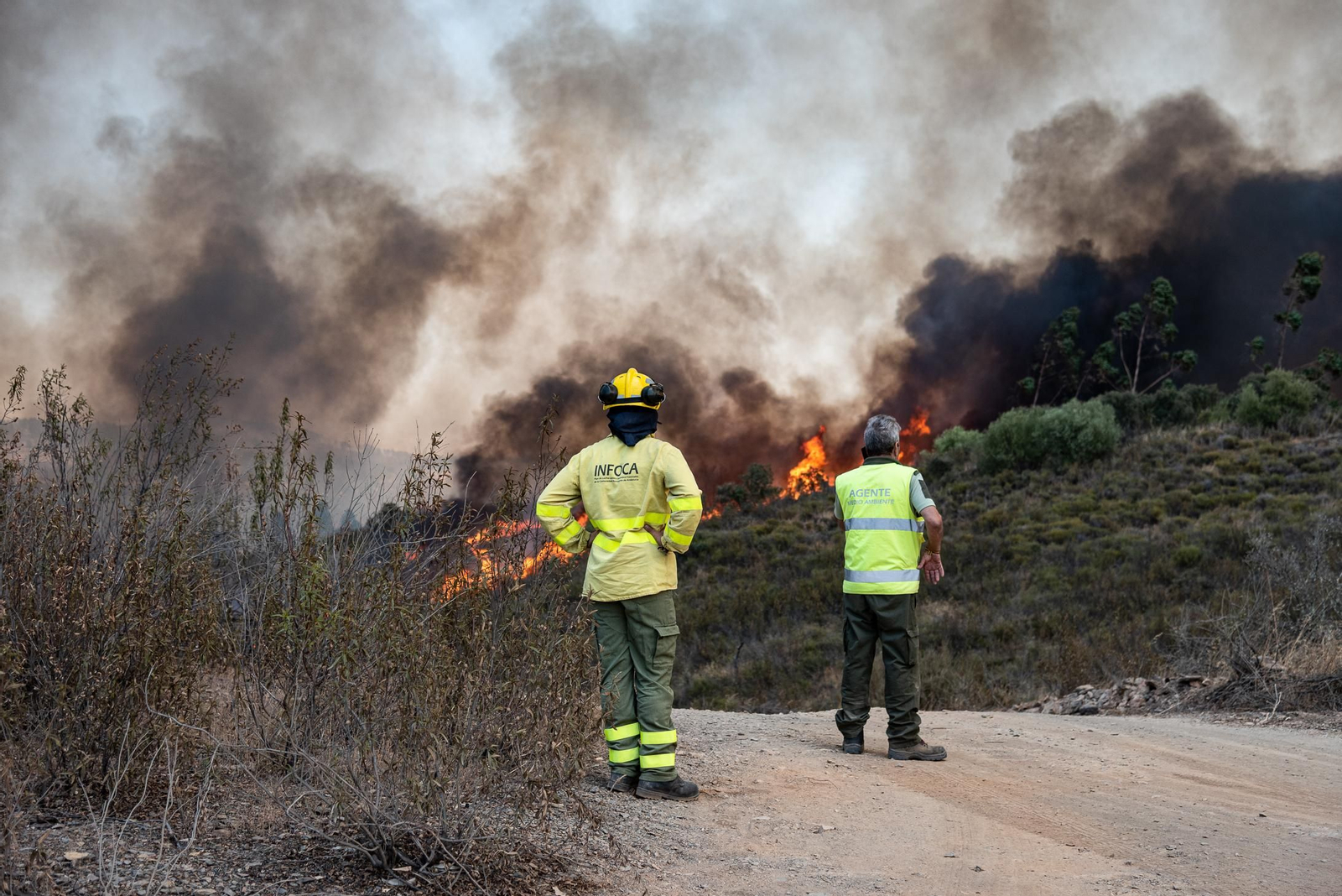 Imágenes del incendio de Almonaster a su paso por Zalamea