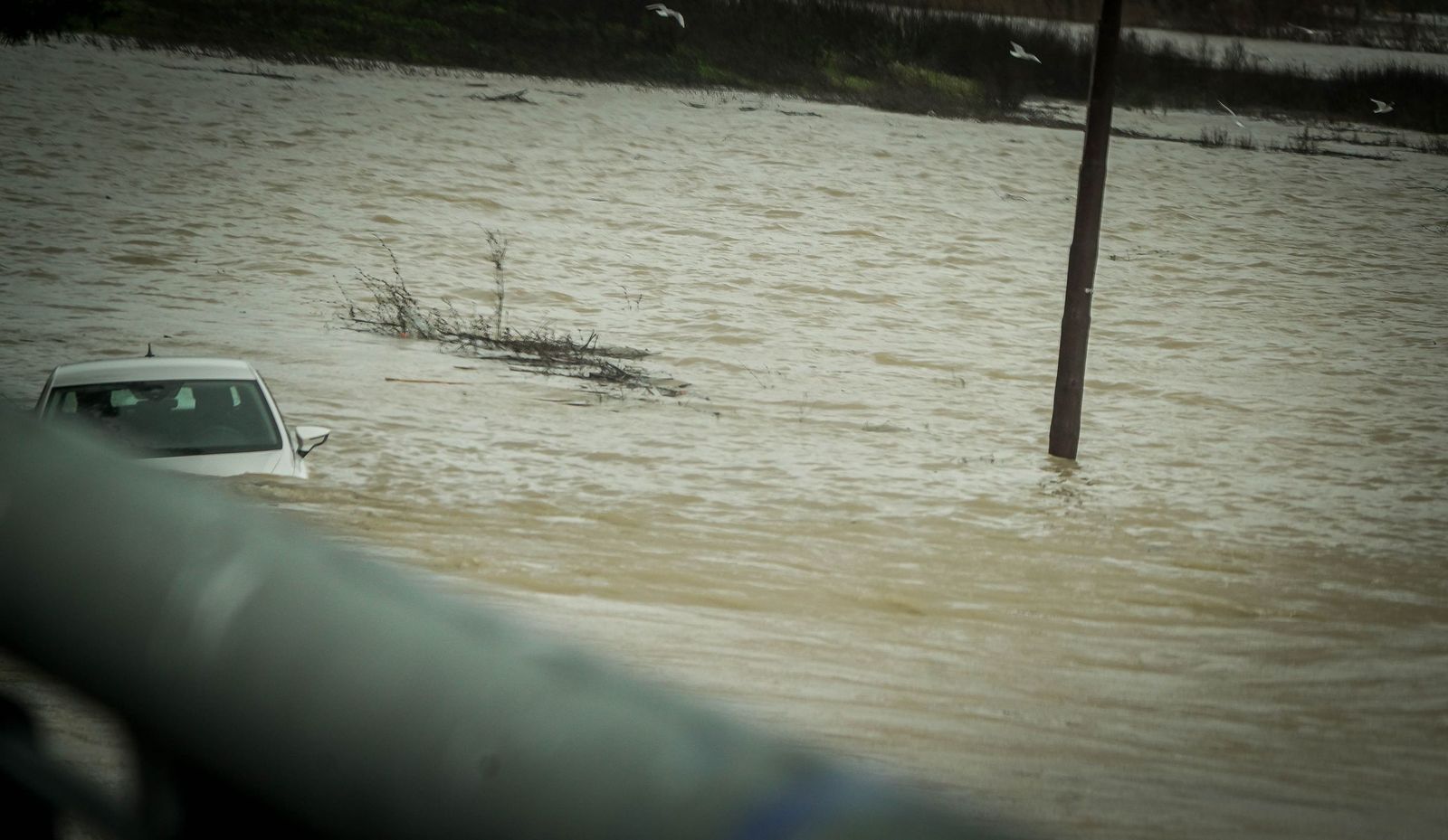 Imágenes de las graves consecuencias de la crecida del rio Guadalete en la zona rural de Jerez