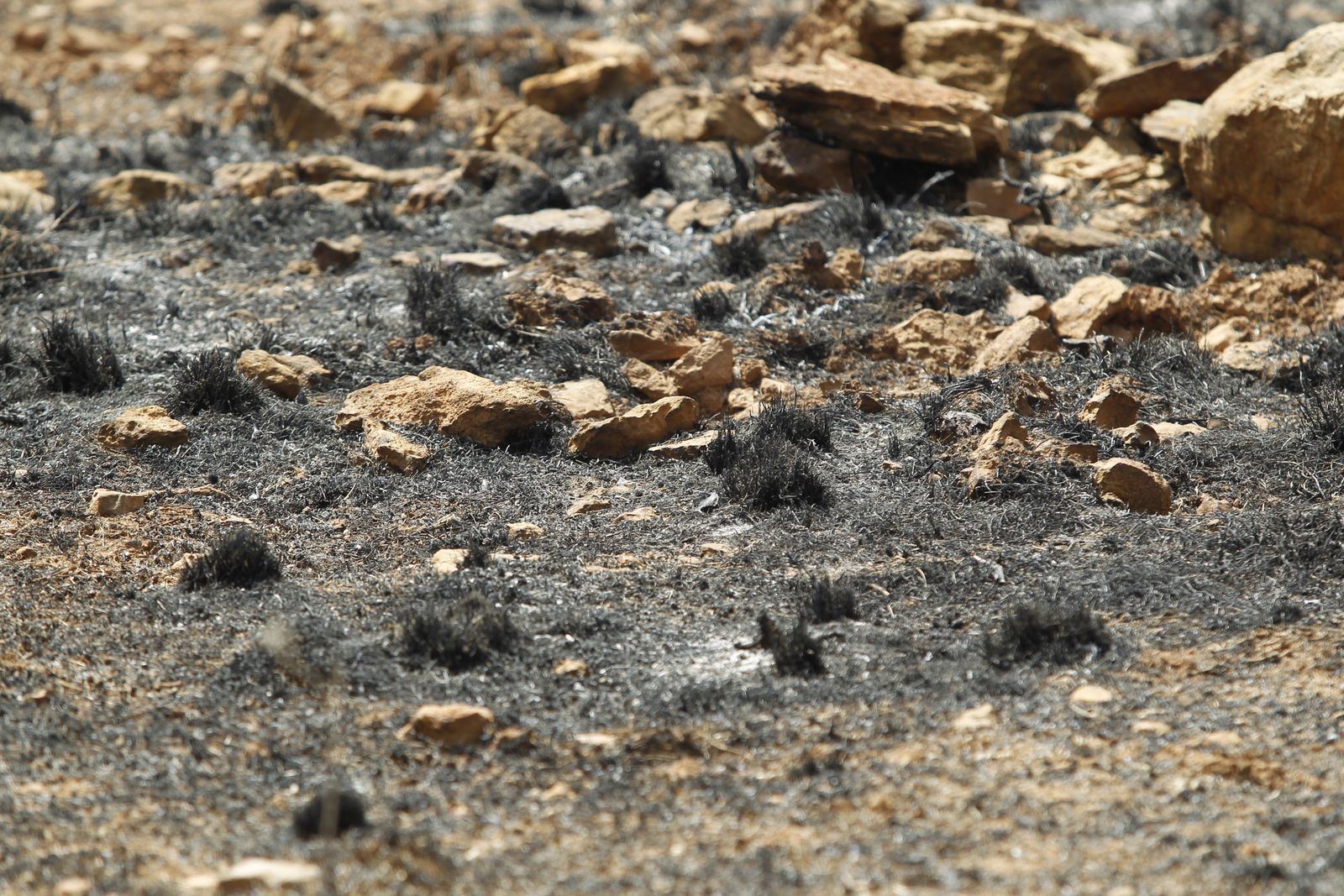 Fotogalería incendio extinguido Sierra de Gádor