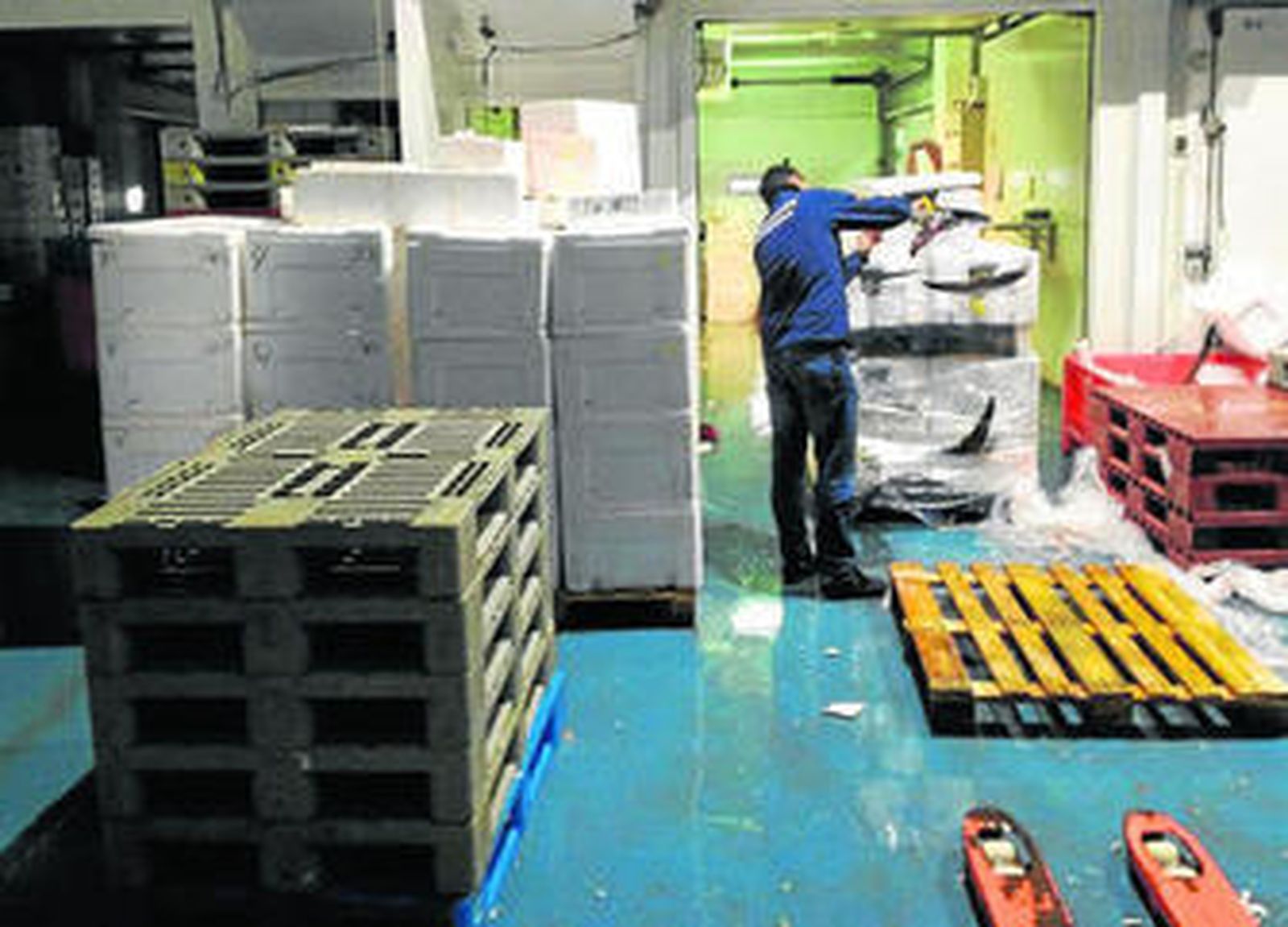 Un momento del decomiso de los ejemplares de atún rojo en Málaga.