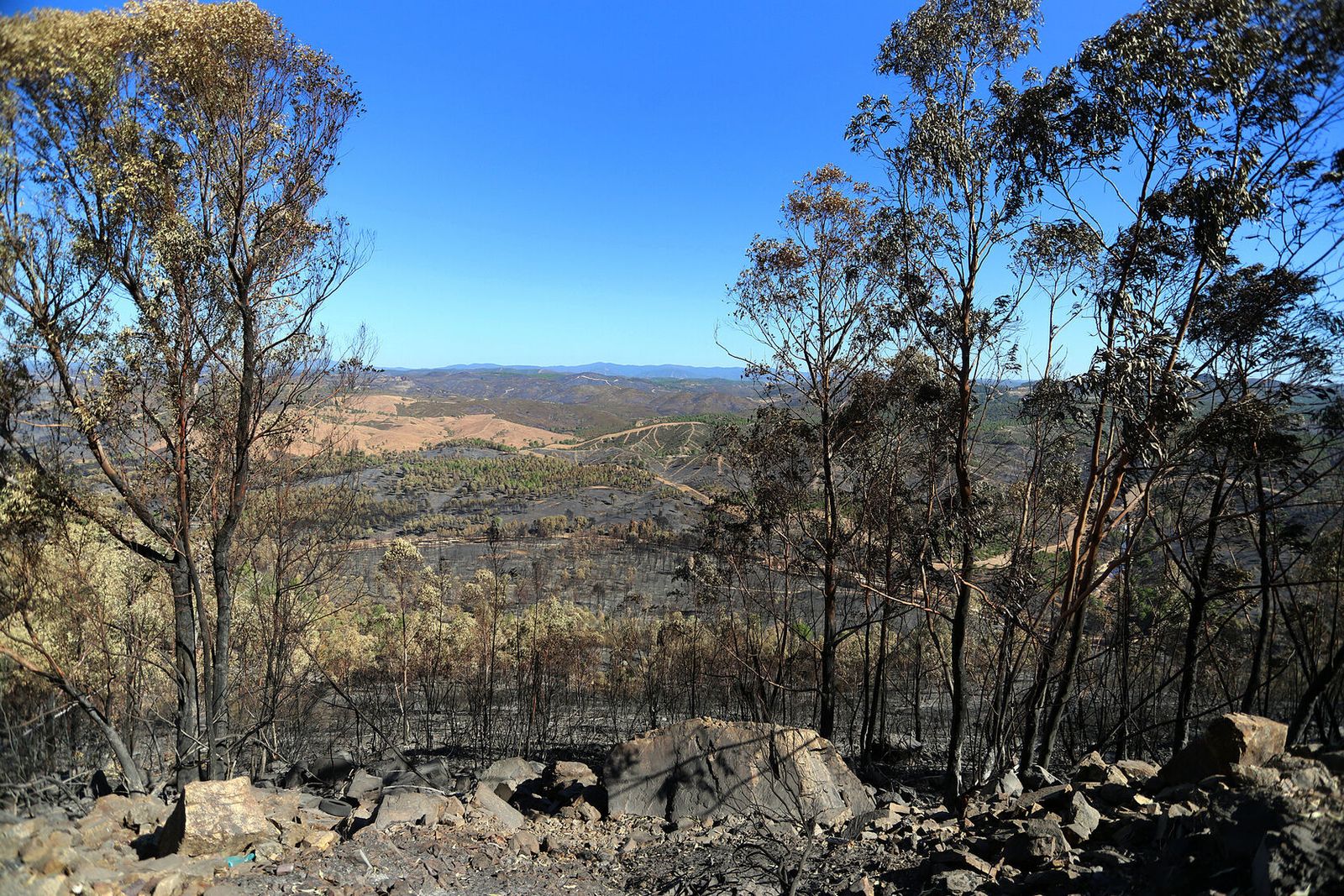 Parte de las hectáreas afectadas por el incendio de Almonaster.