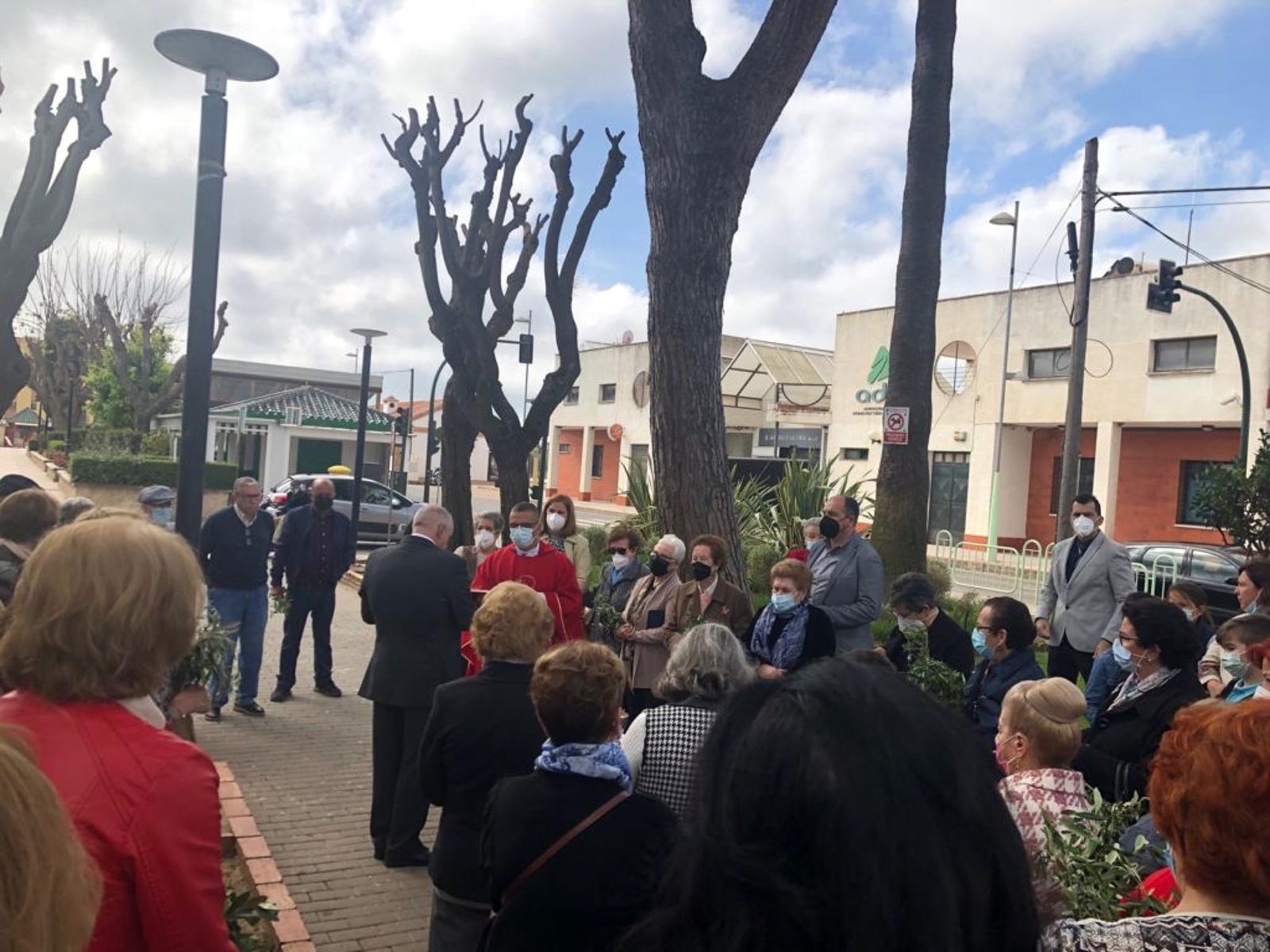 Las fotos del domingo de palmas y olivos en San Roque