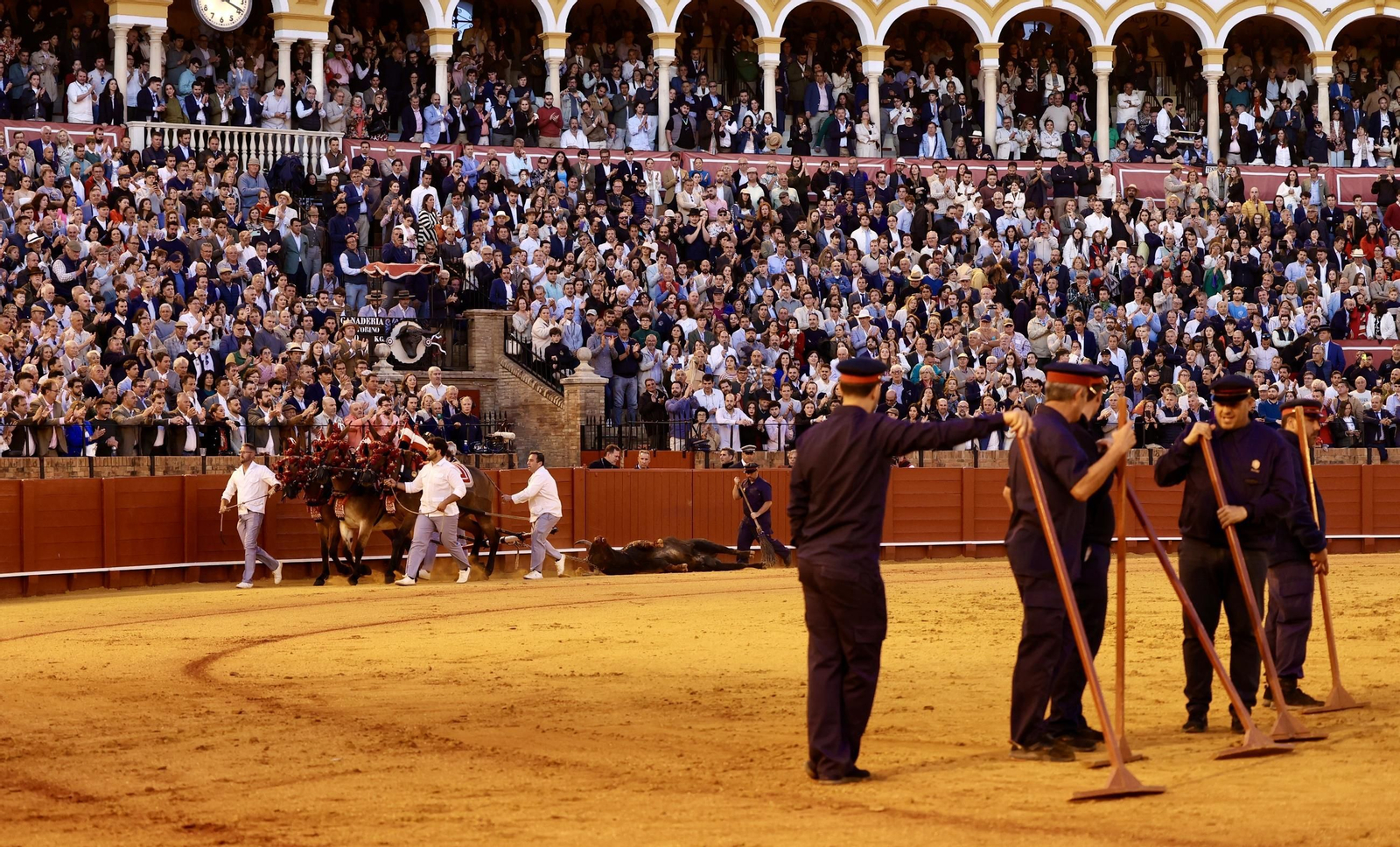 Las imágenes de la corrida de toros