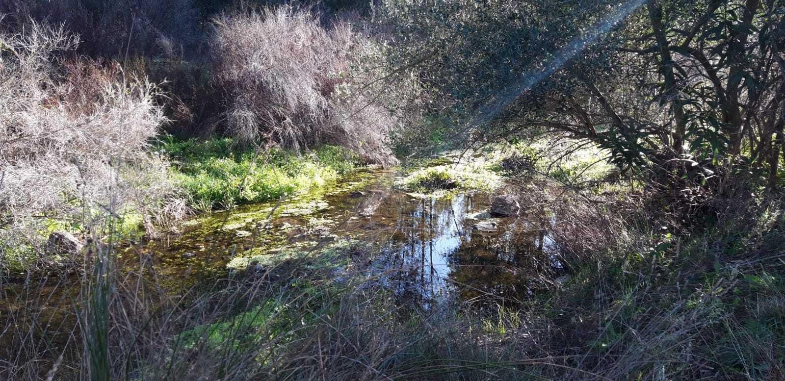 Arroyo de las Torres.