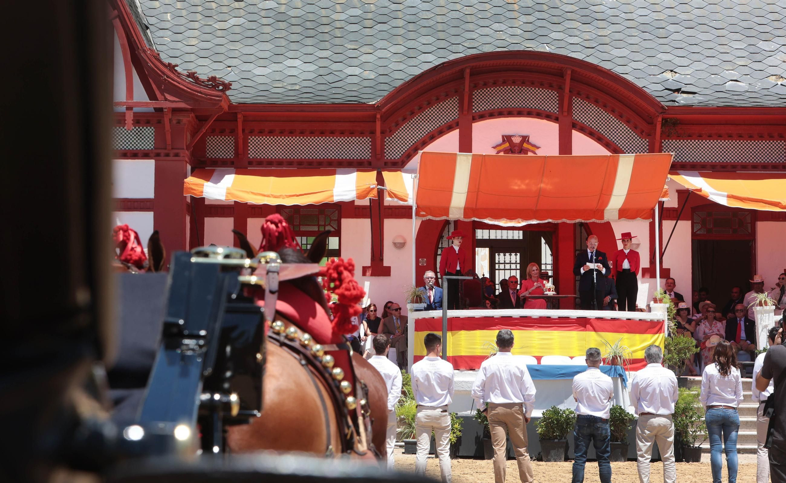 Entrega del Caballo de Oro Jerez 2024 a Francisco Dorante