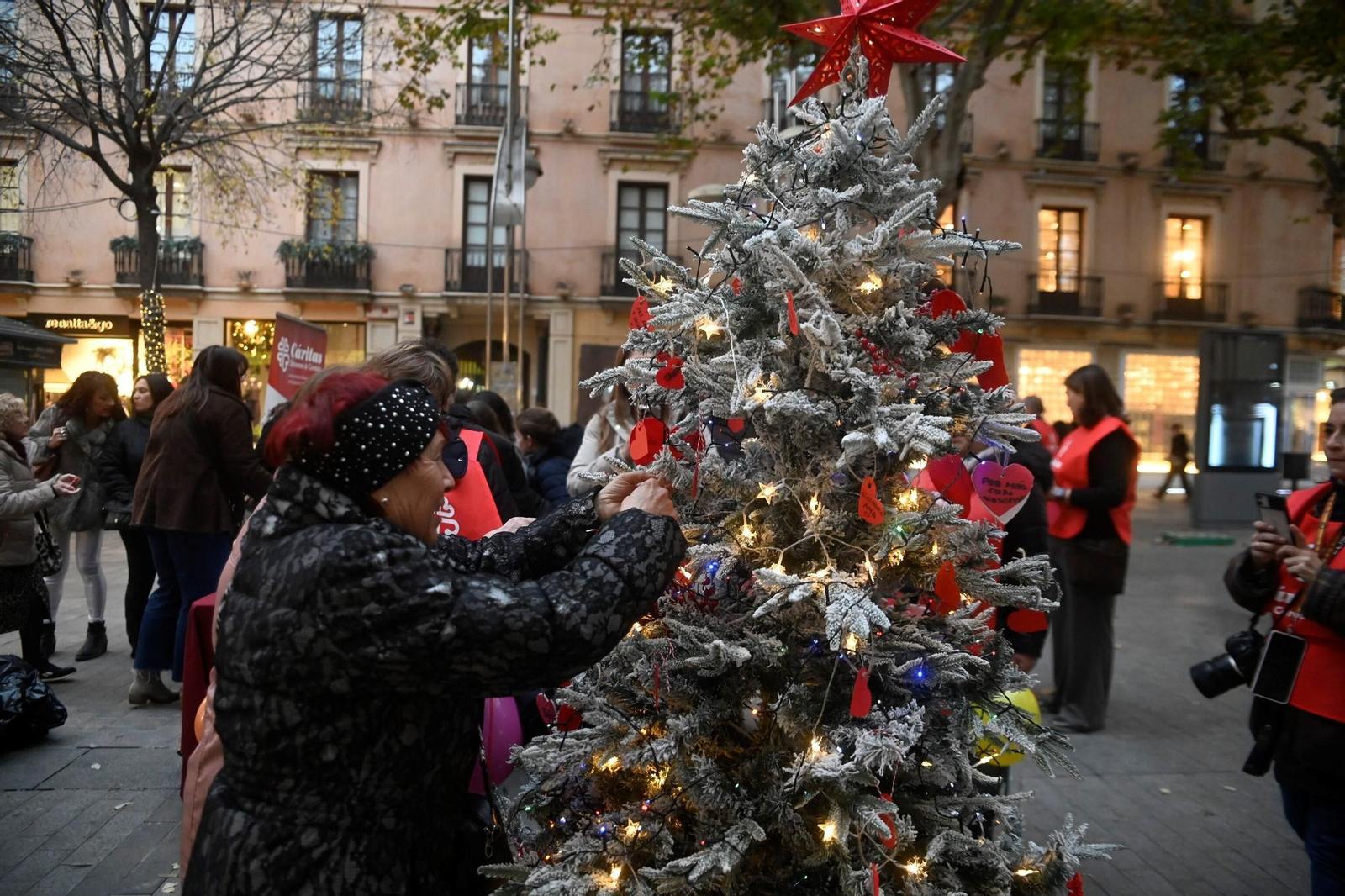 El árbol solidario de Cáritas en Córdoba