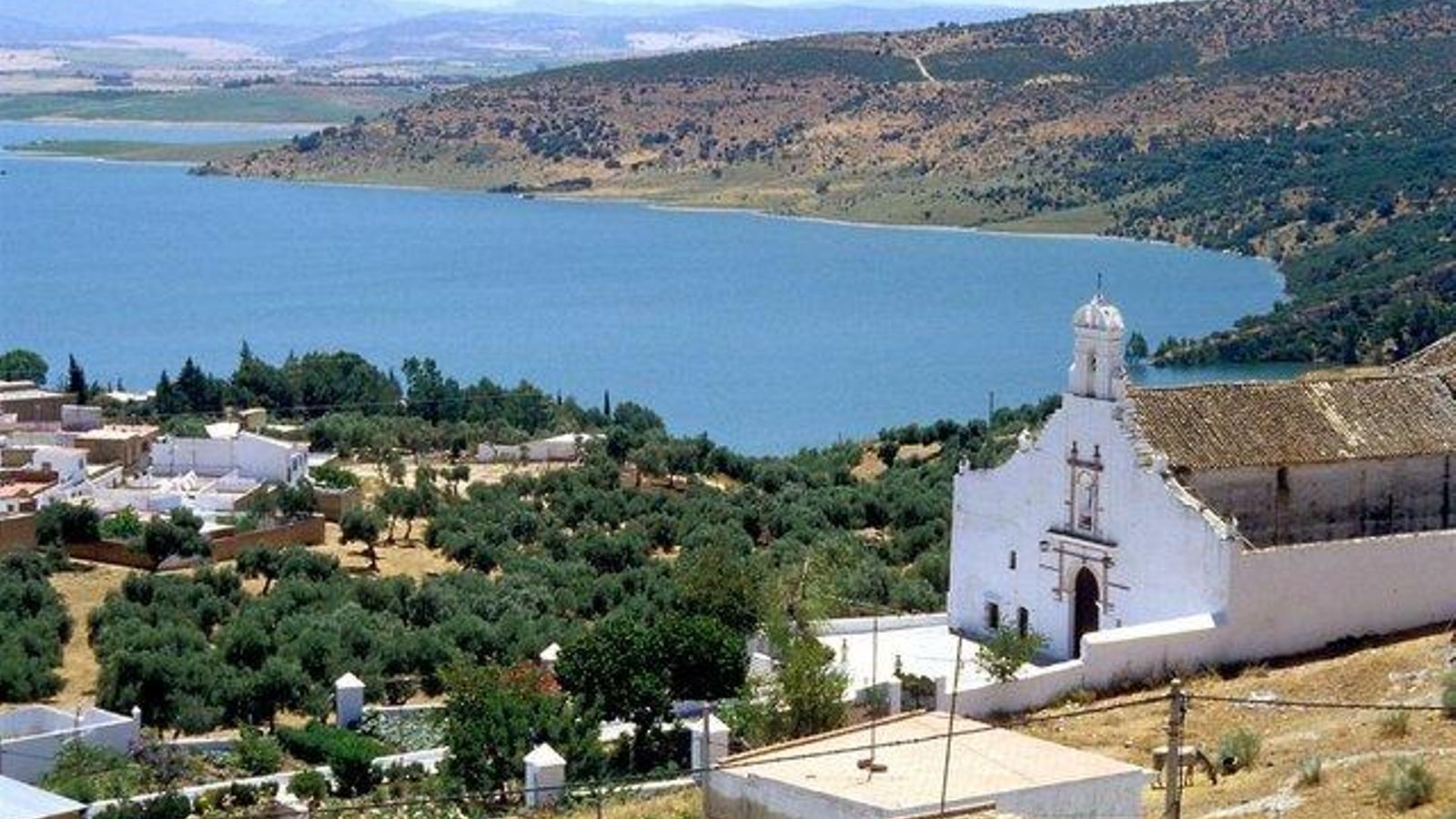 Cola del embalse de Bornos.
