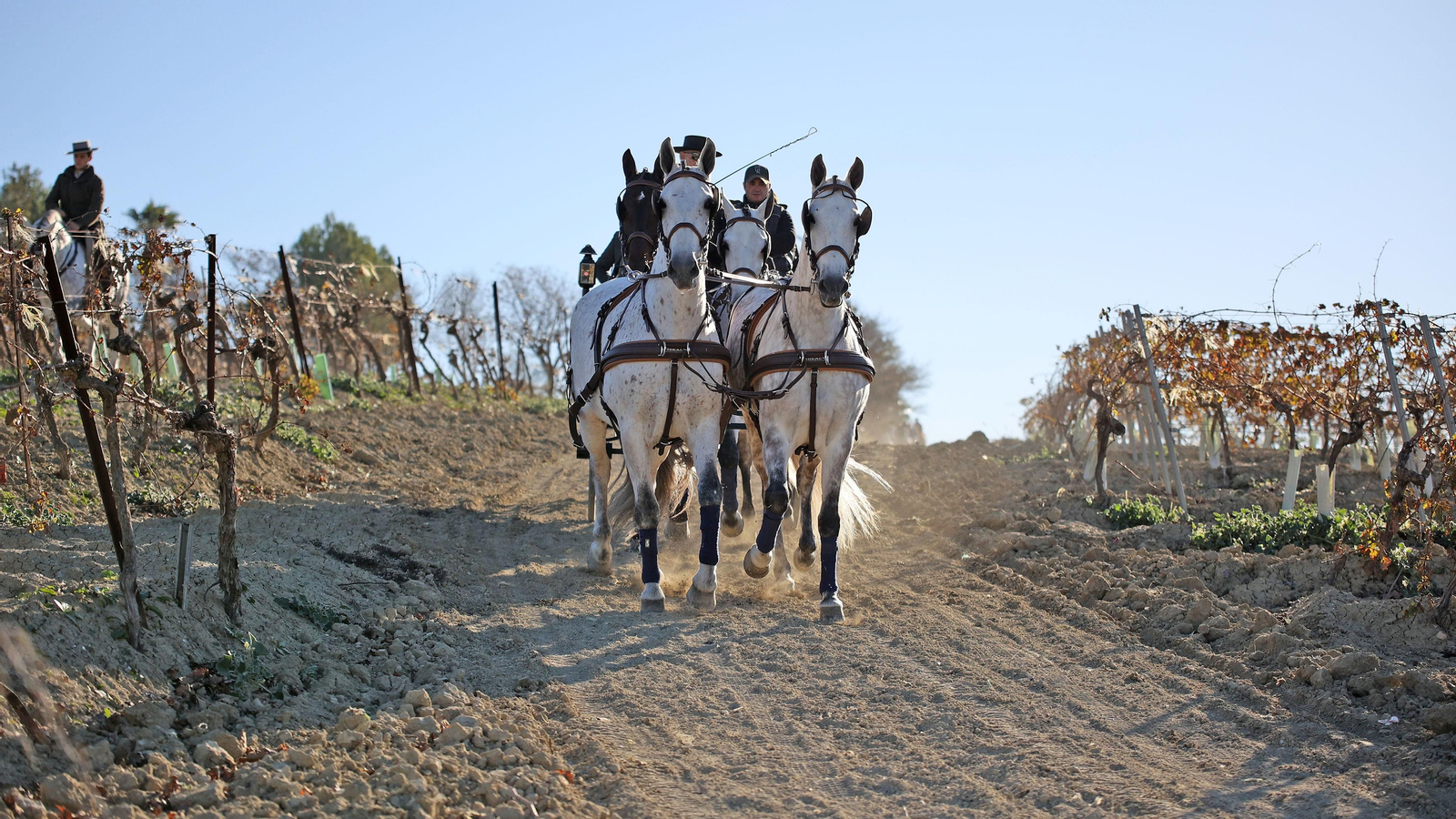 II Ruta Viñas de Jerez