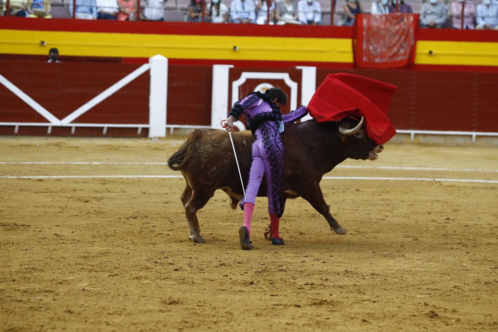 Fotogalería corrida de toros. Cayetano Rivera, Paco Ureña y Roca Rey. Roquetas de Mar.