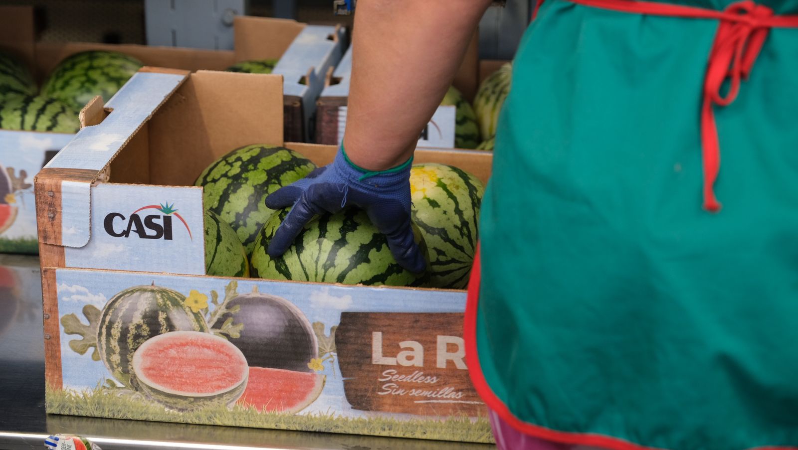 La IA llega a CASI, en imágenes