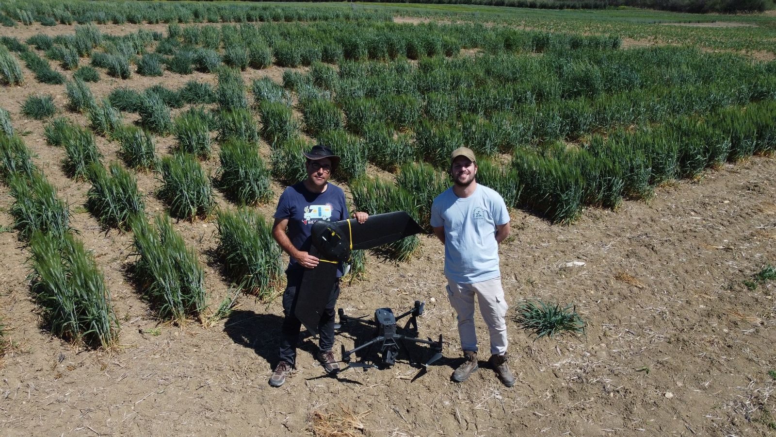 Investigación del AgroPhenoLab del IAS-CSIC en Córdoba para mejorar la productividad de cultivos como el almendro