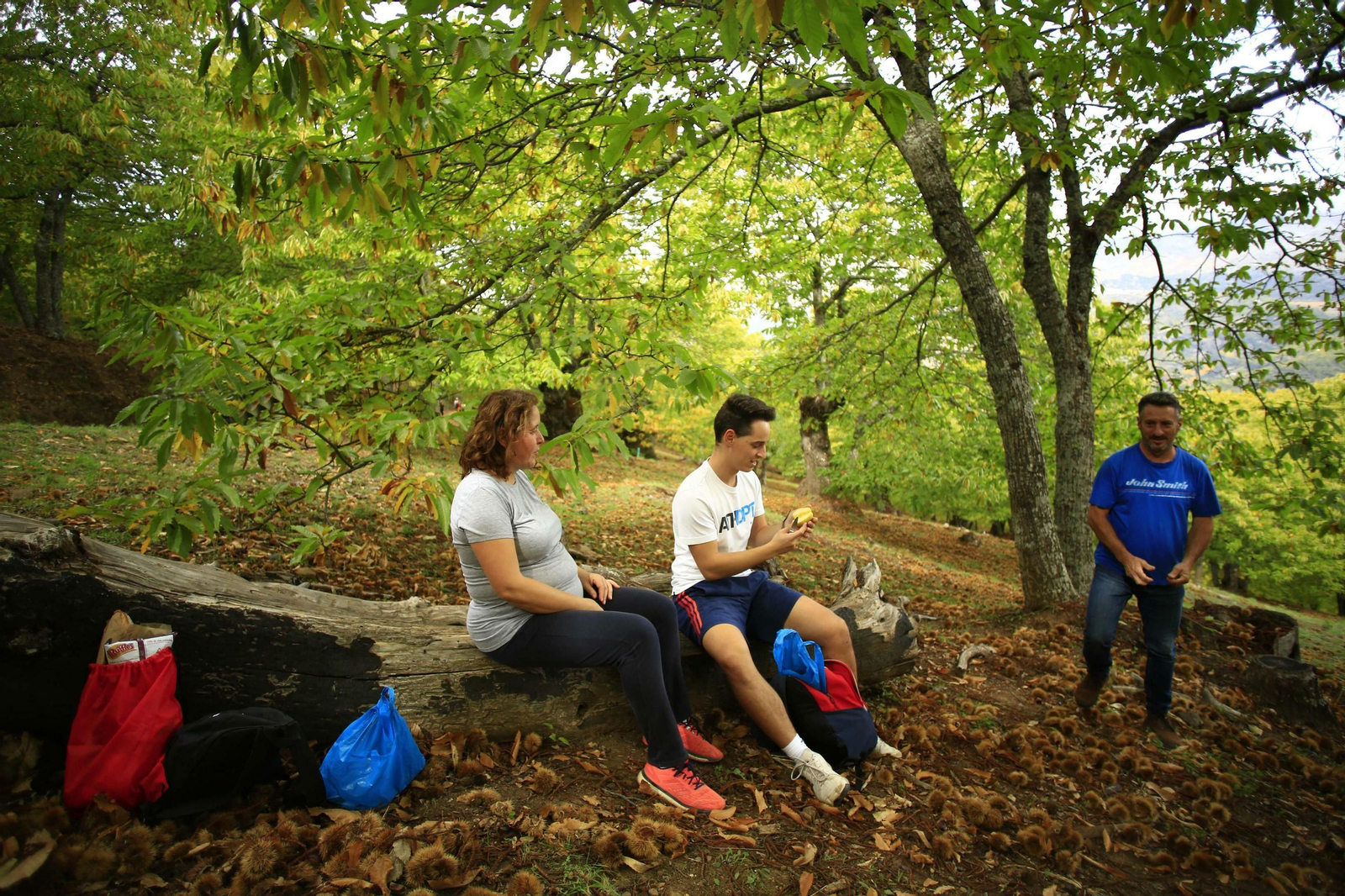 Fotos del Bosque de Cobre en el Valle del Genal.