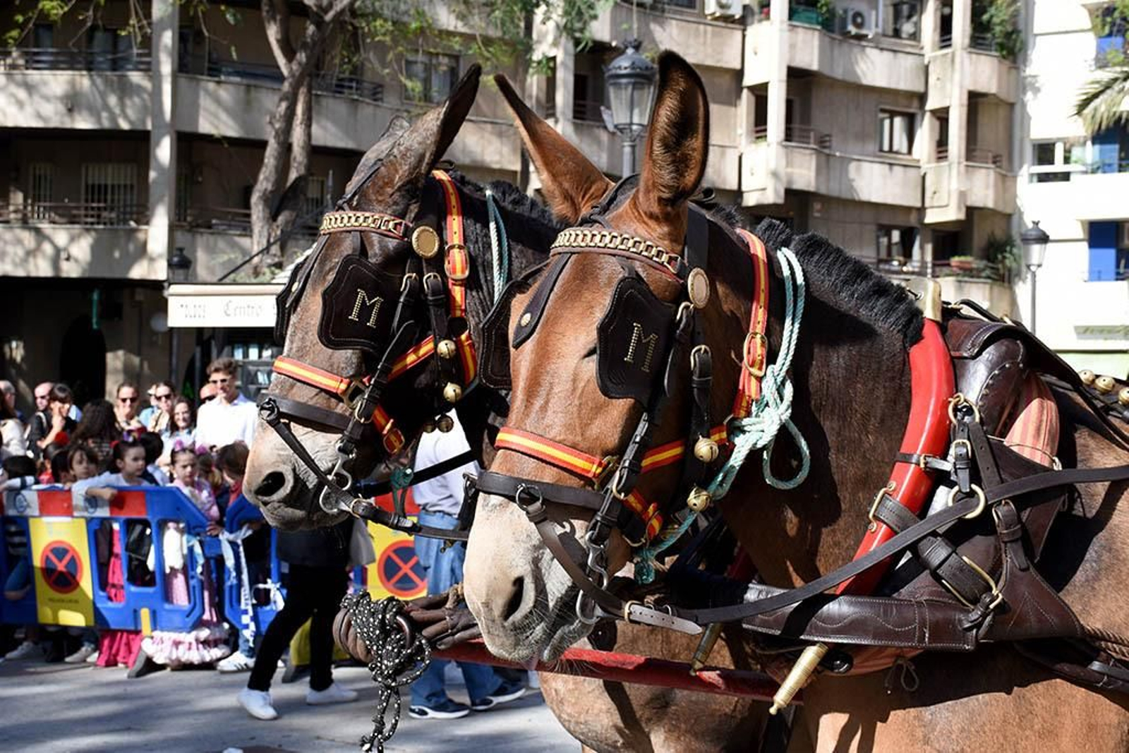 Las mejores imágenes de los peregrinos en la salida de Emigrantes