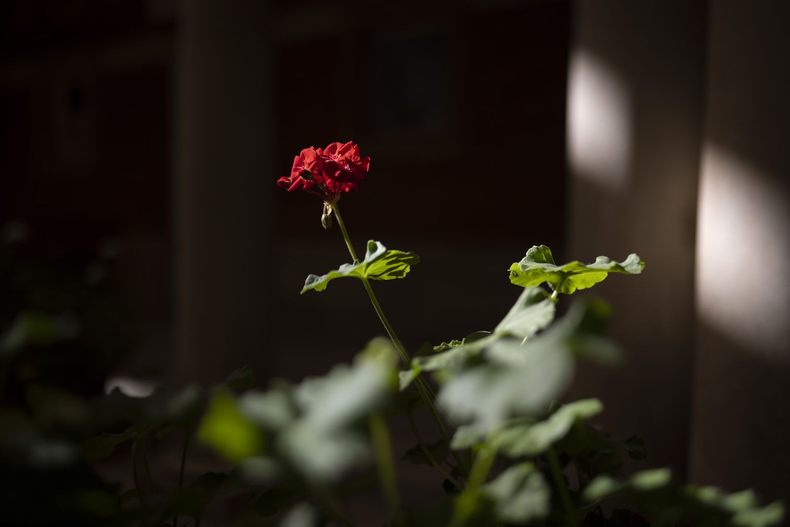 Imágenes del miércoles 7 de septiembre en Huelva