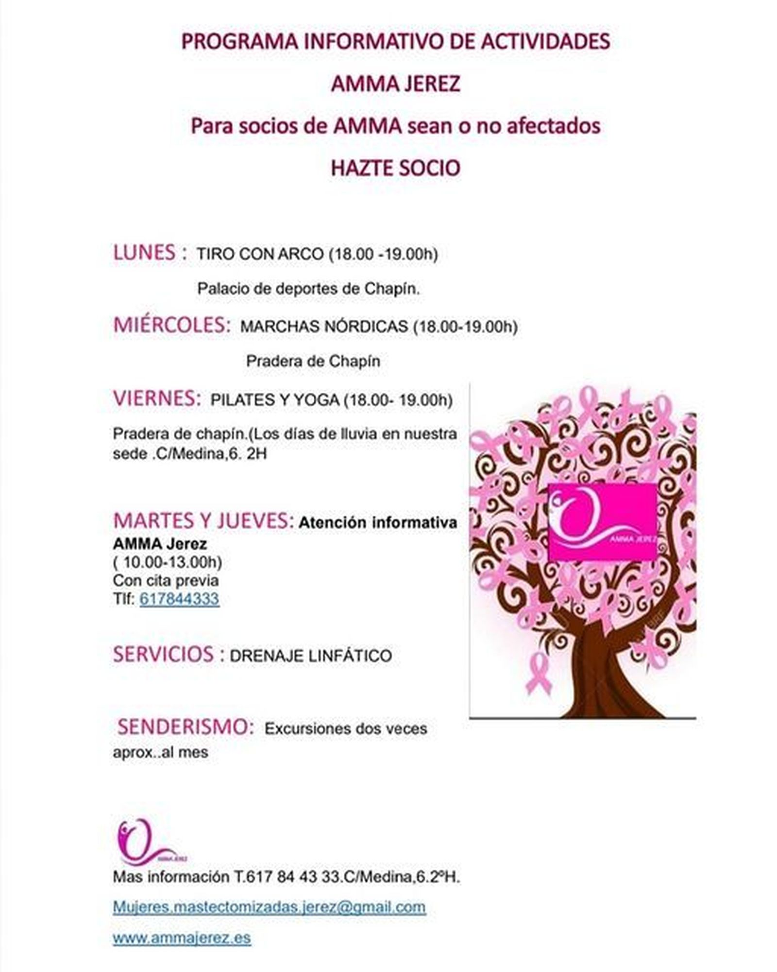 Programa de actividades de AMMA Jerez.