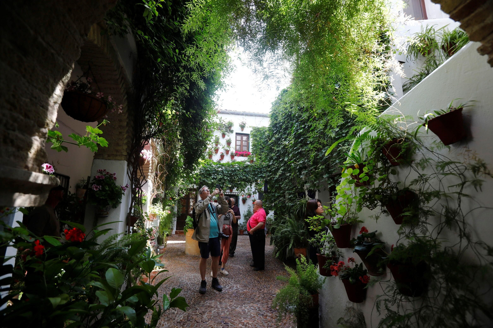 Los patios de Córdoba de la ruta Judería-San Francisco, en imágenes