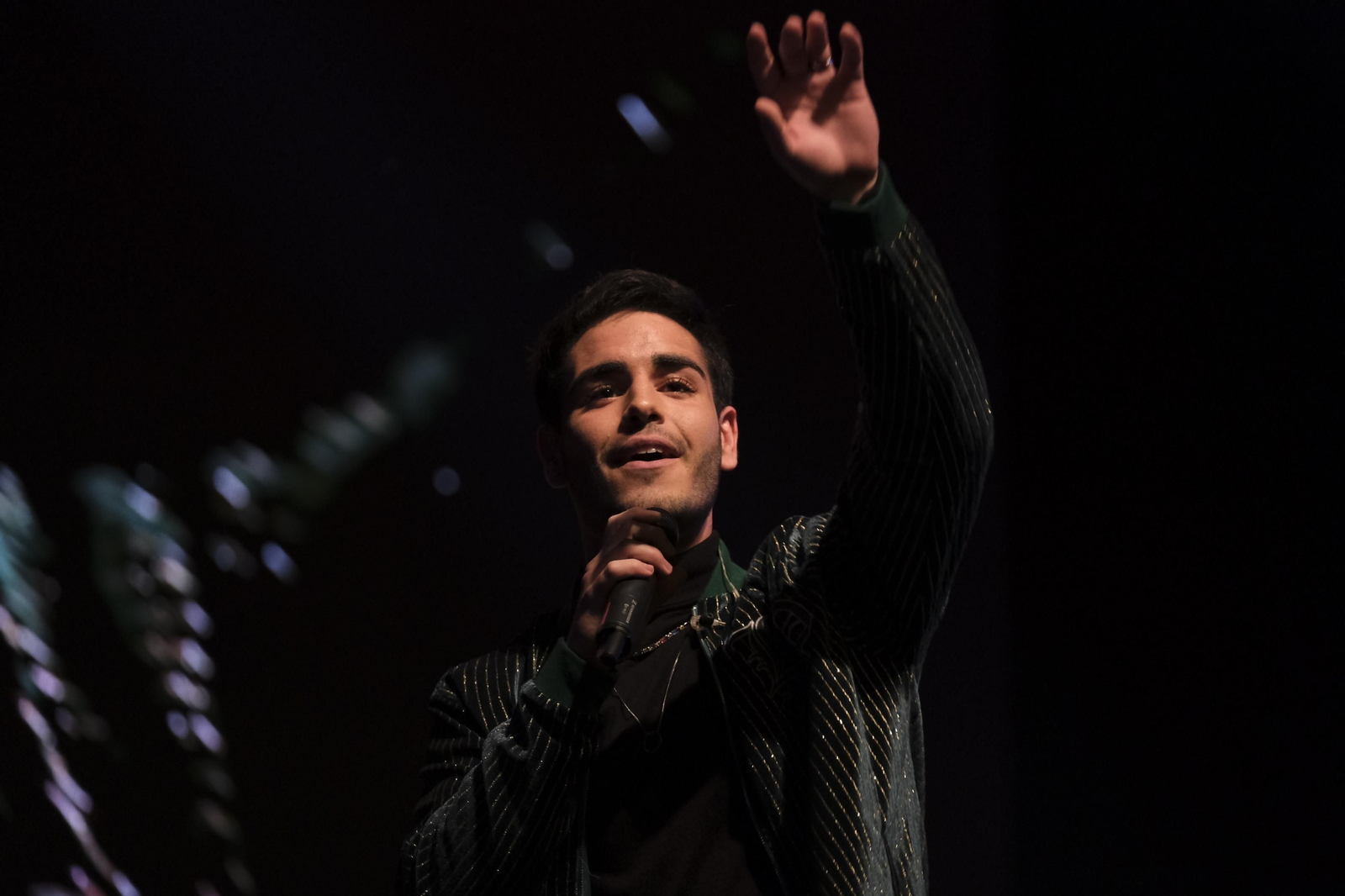 Imágenes de la II Gala Sabores Almería con David Bisbal. Vera