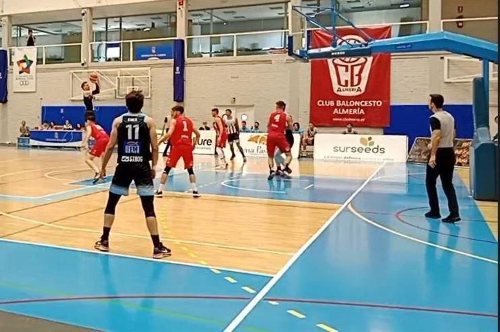 Un momento del CB Almería-ULB de este domingo