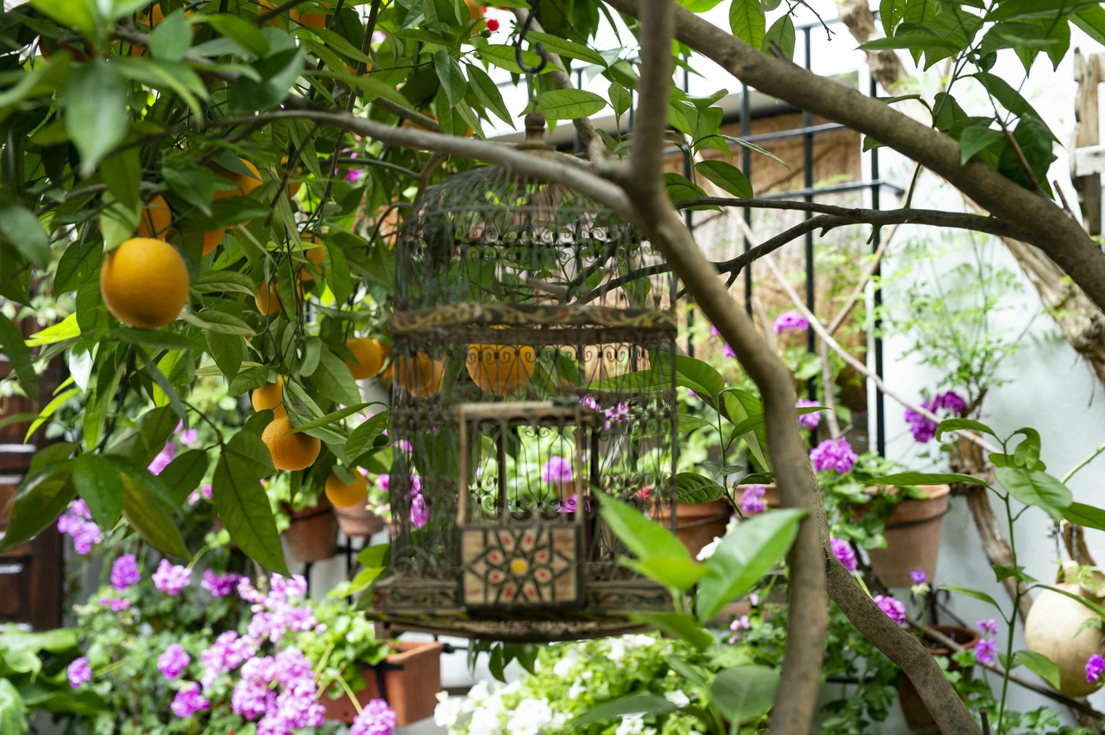 En imágenes: la ruta de los Patios Santa Marina-San Agustín