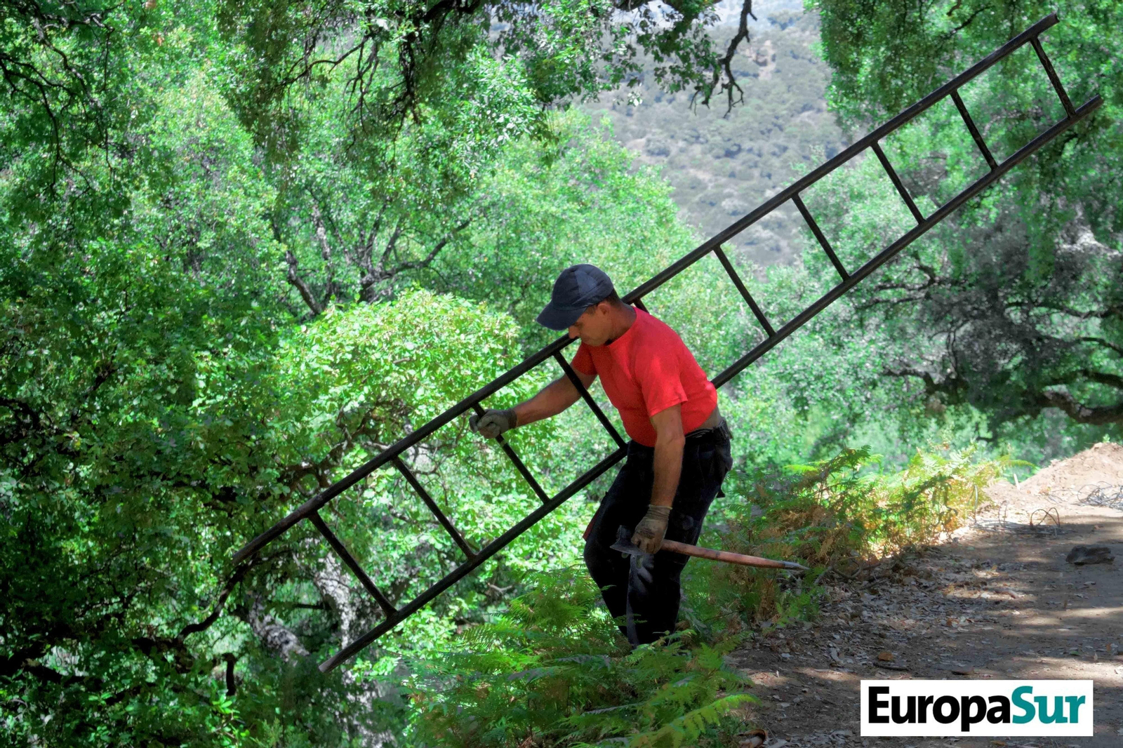 Fotografías de 'El último bosque', por David Coronado