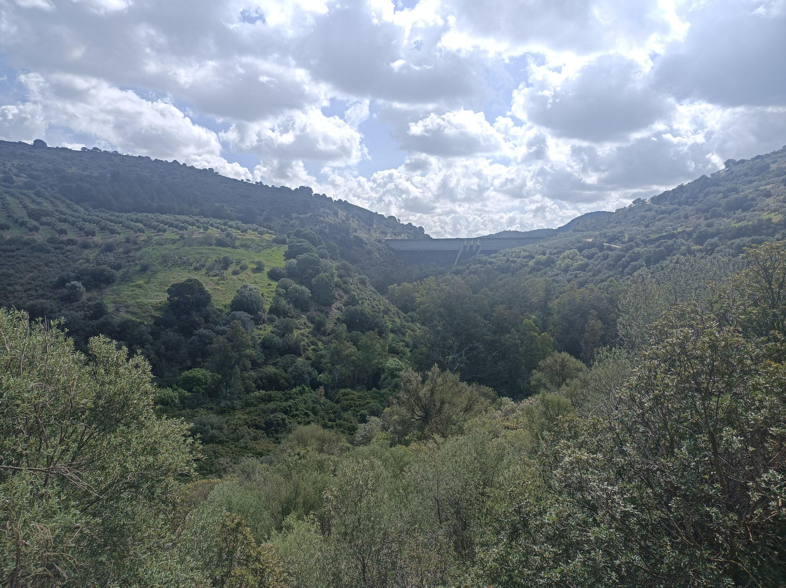 Si miramos a la derecha, veremos la zona por la que va el río Corbones.