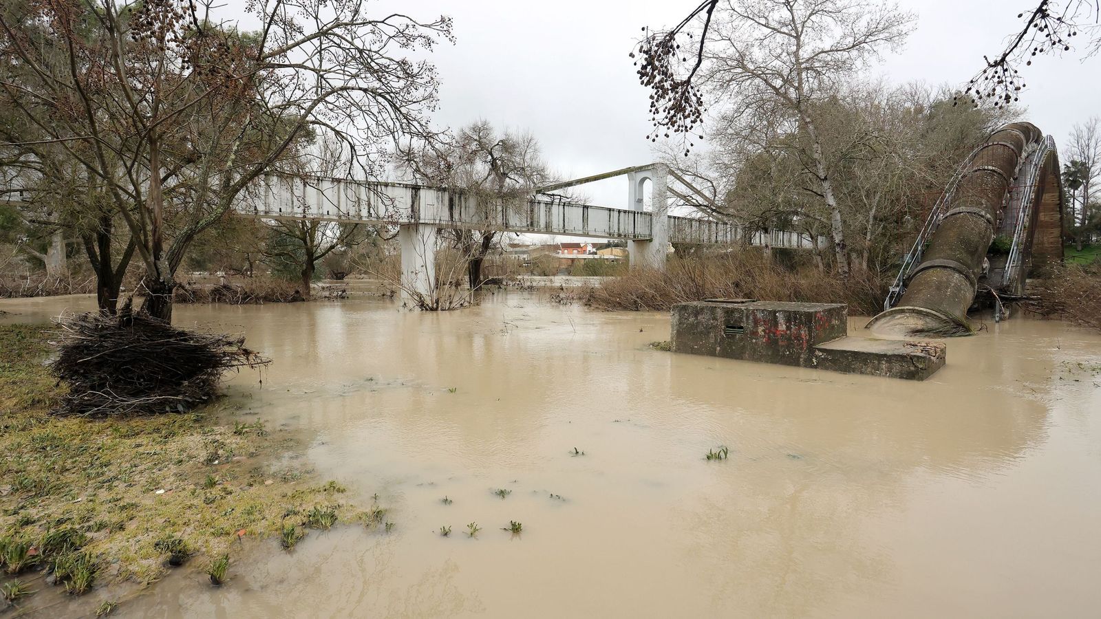 Ruta por la zona rural inundada de Jerez